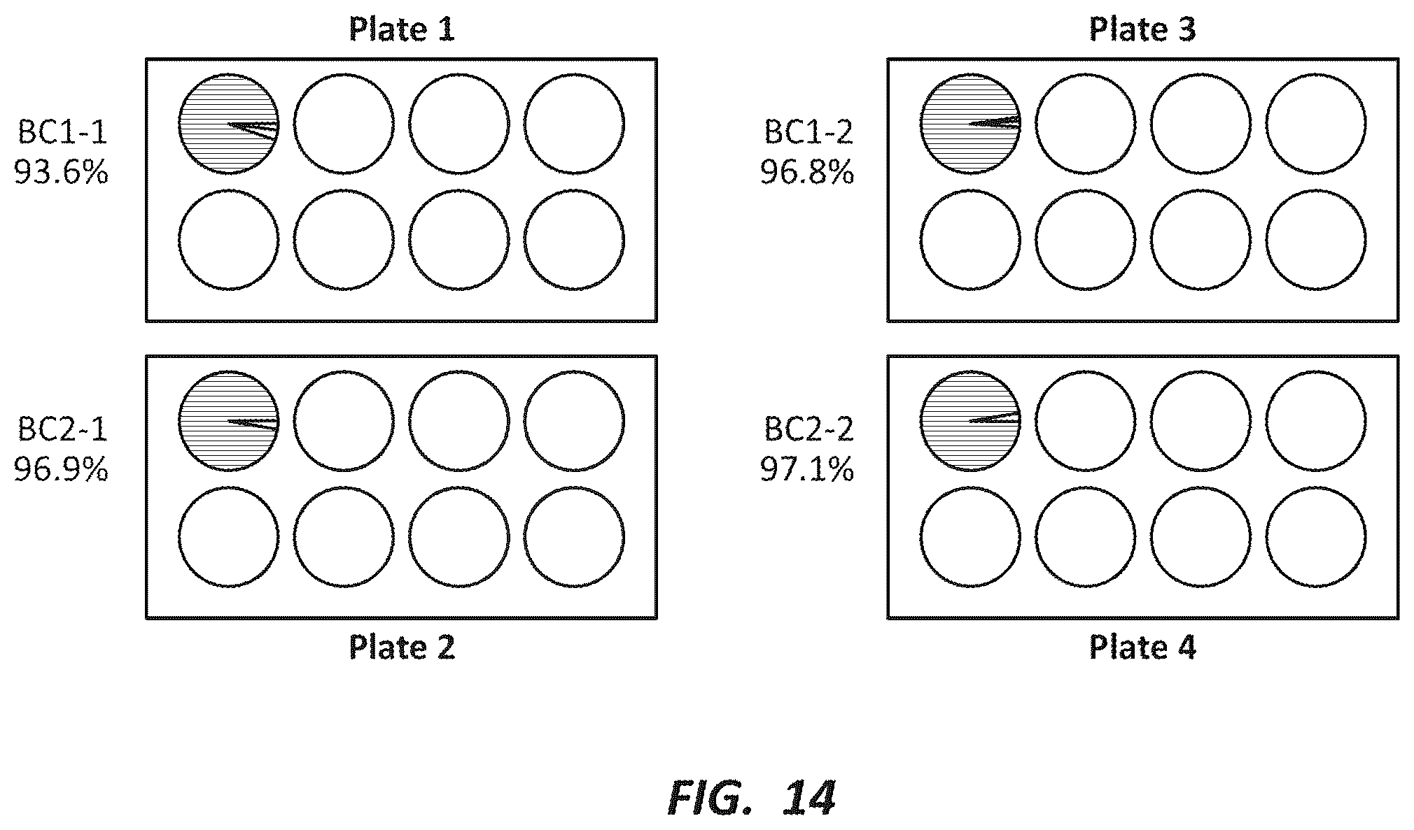 Patent US12492491 Figure 14 – Combinatorial photo-controlled spatial sequencing and labeling