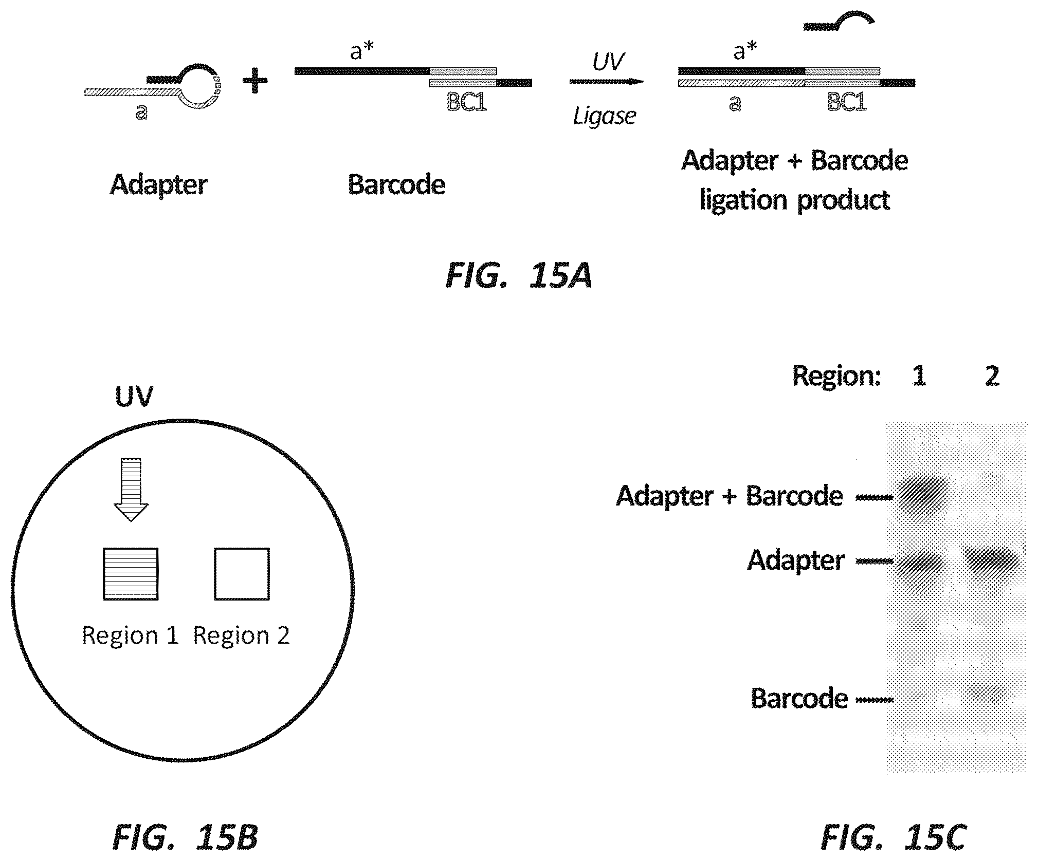 Patent US12492491 Figure 15 – Combinatorial photo-controlled spatial sequencing and labeling
