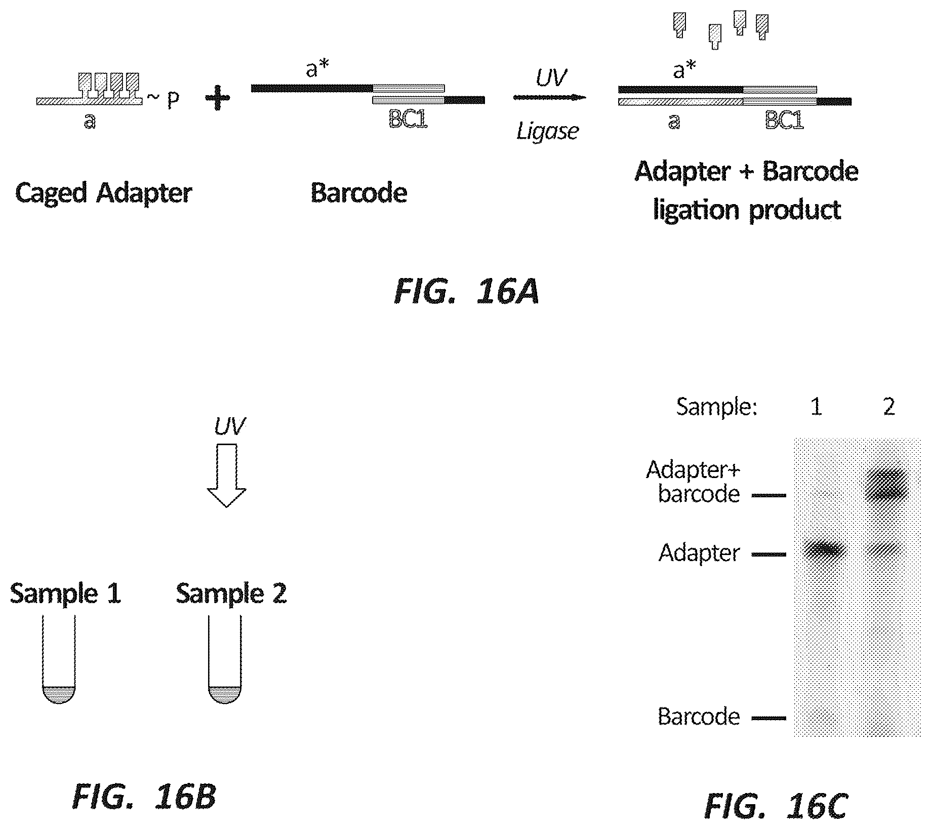 Patent US12492491 Figure 16 – Combinatorial photo-controlled spatial sequencing and labeling