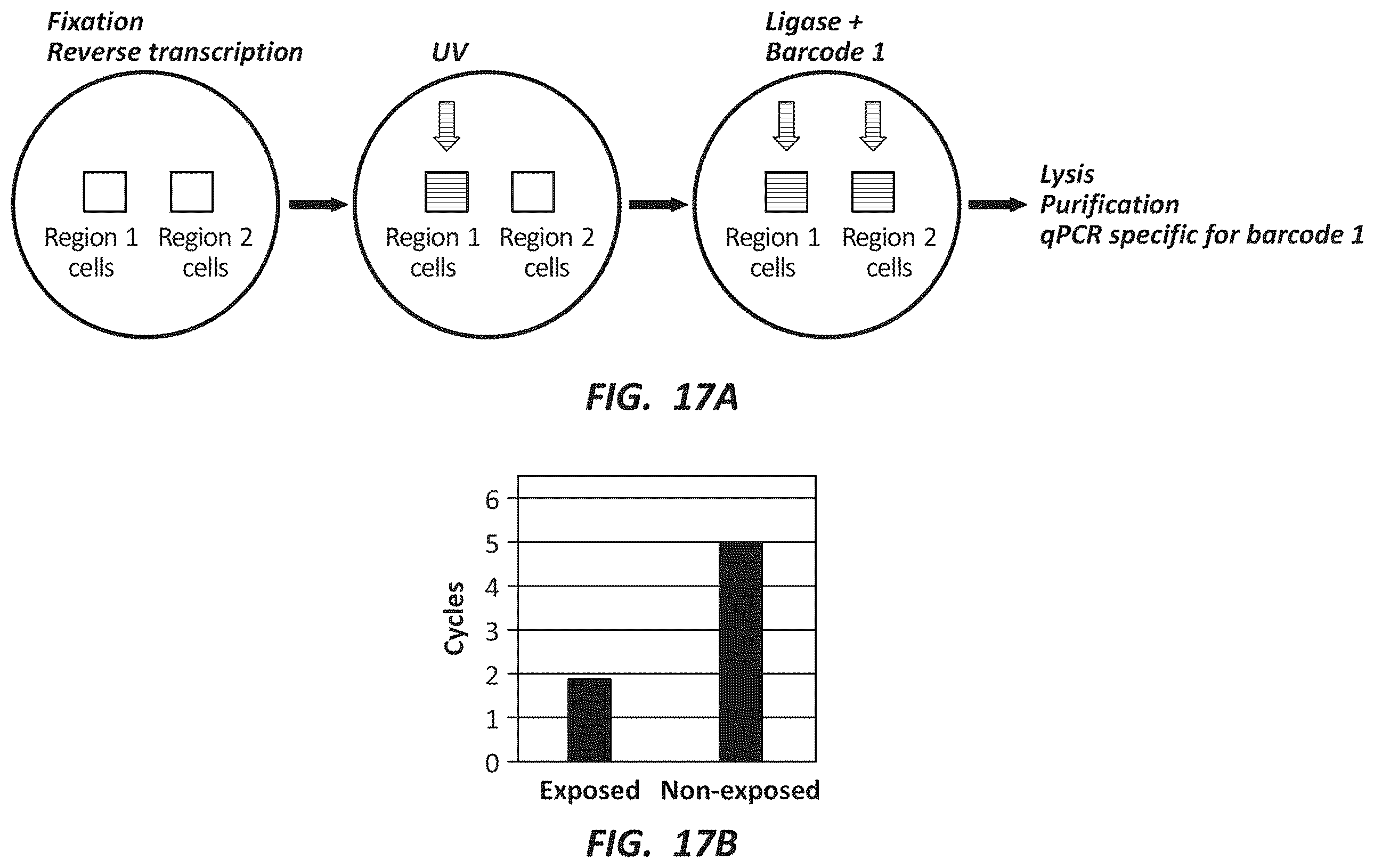 Patent US12492491 Figure 17 – Combinatorial photo-controlled spatial sequencing and labeling