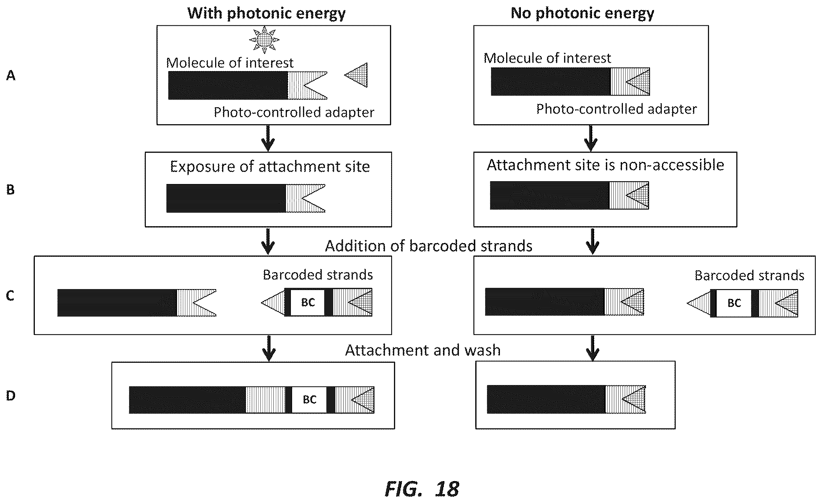 Patent US12492491 Figure 18 – Combinatorial photo-controlled spatial sequencing and labeling