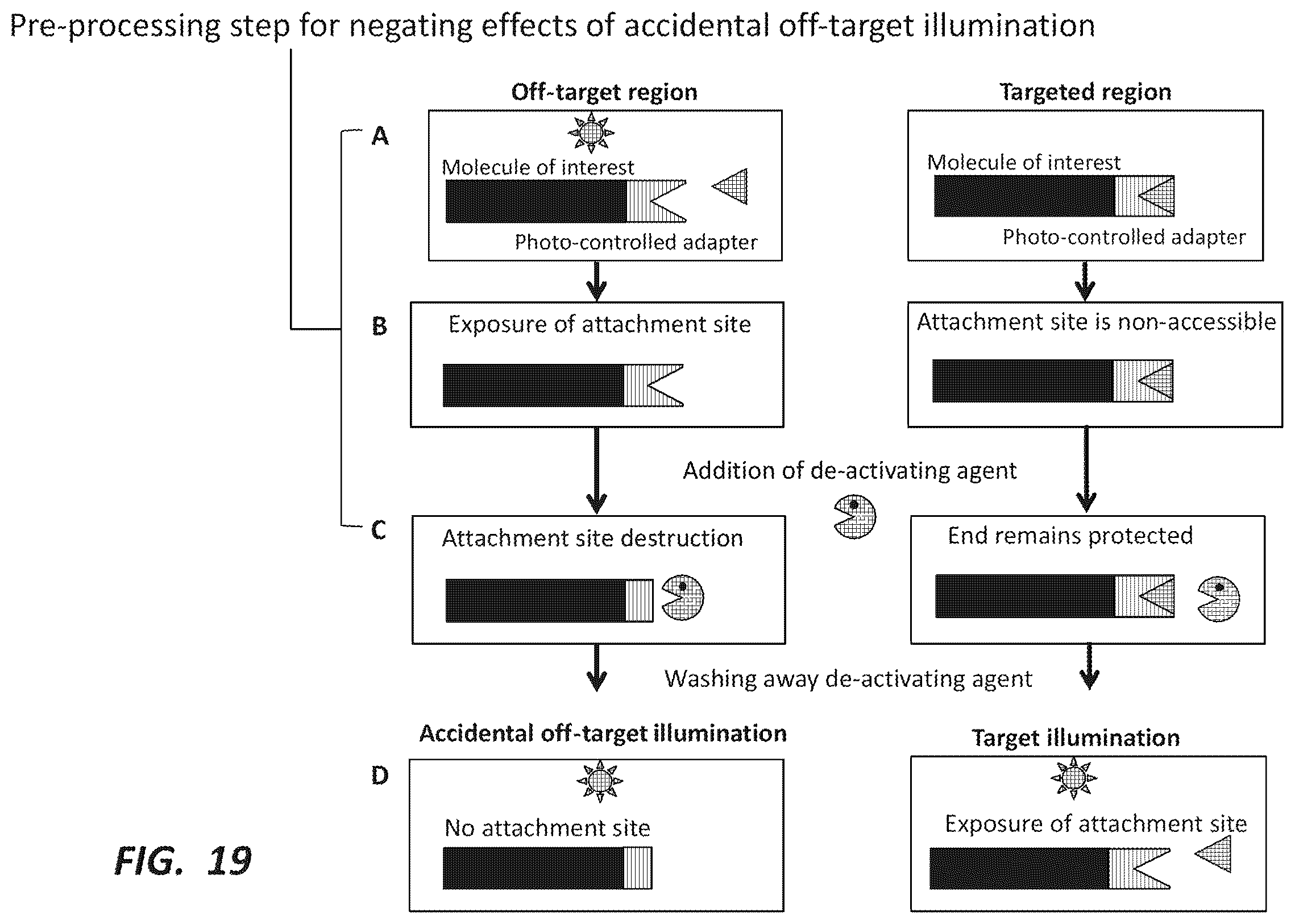 Patent US12492491 Figure 19 – Combinatorial photo-controlled spatial sequencing and labeling