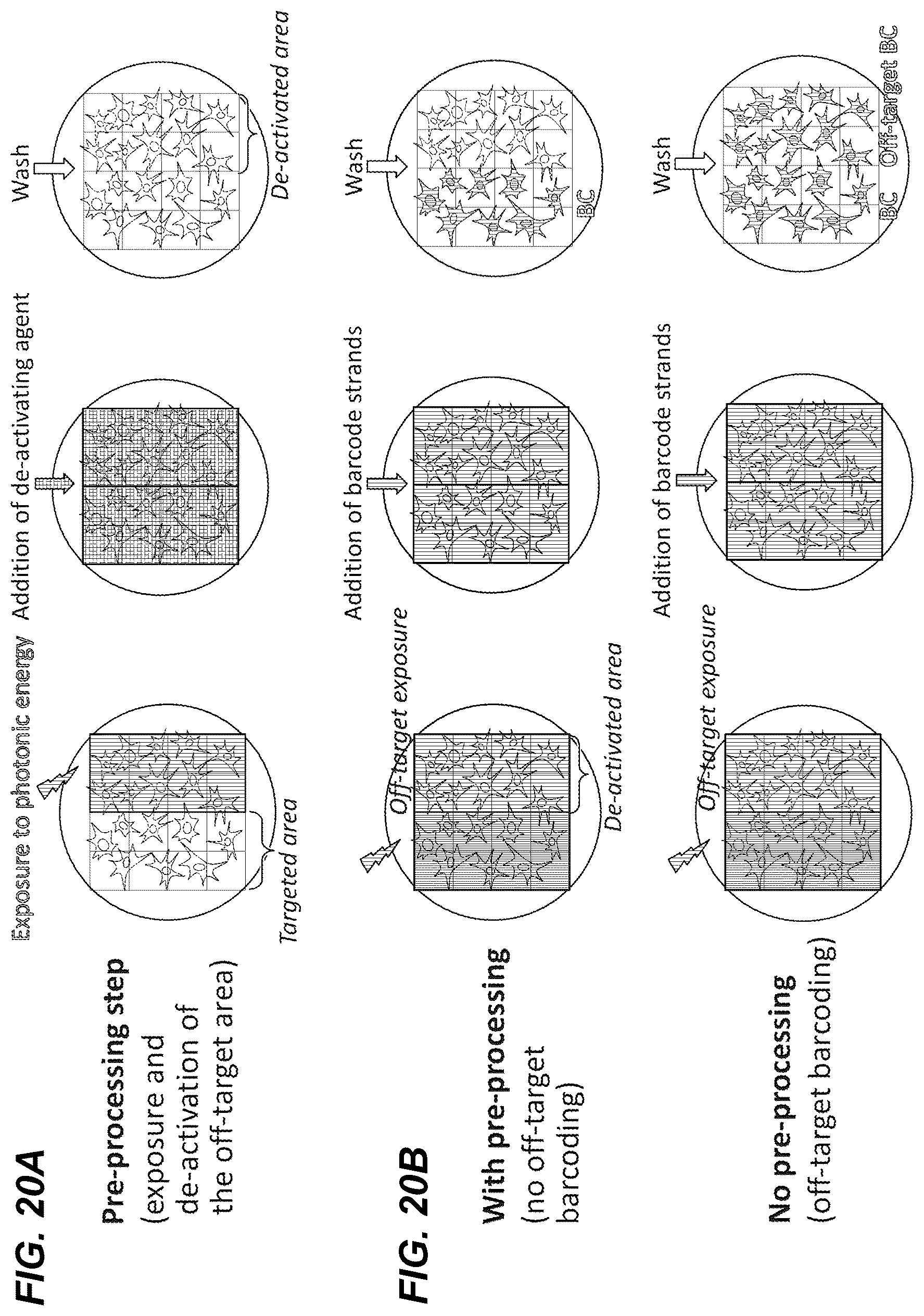 Patent US12492491 Figure 20 – Combinatorial photo-controlled spatial sequencing and labeling
