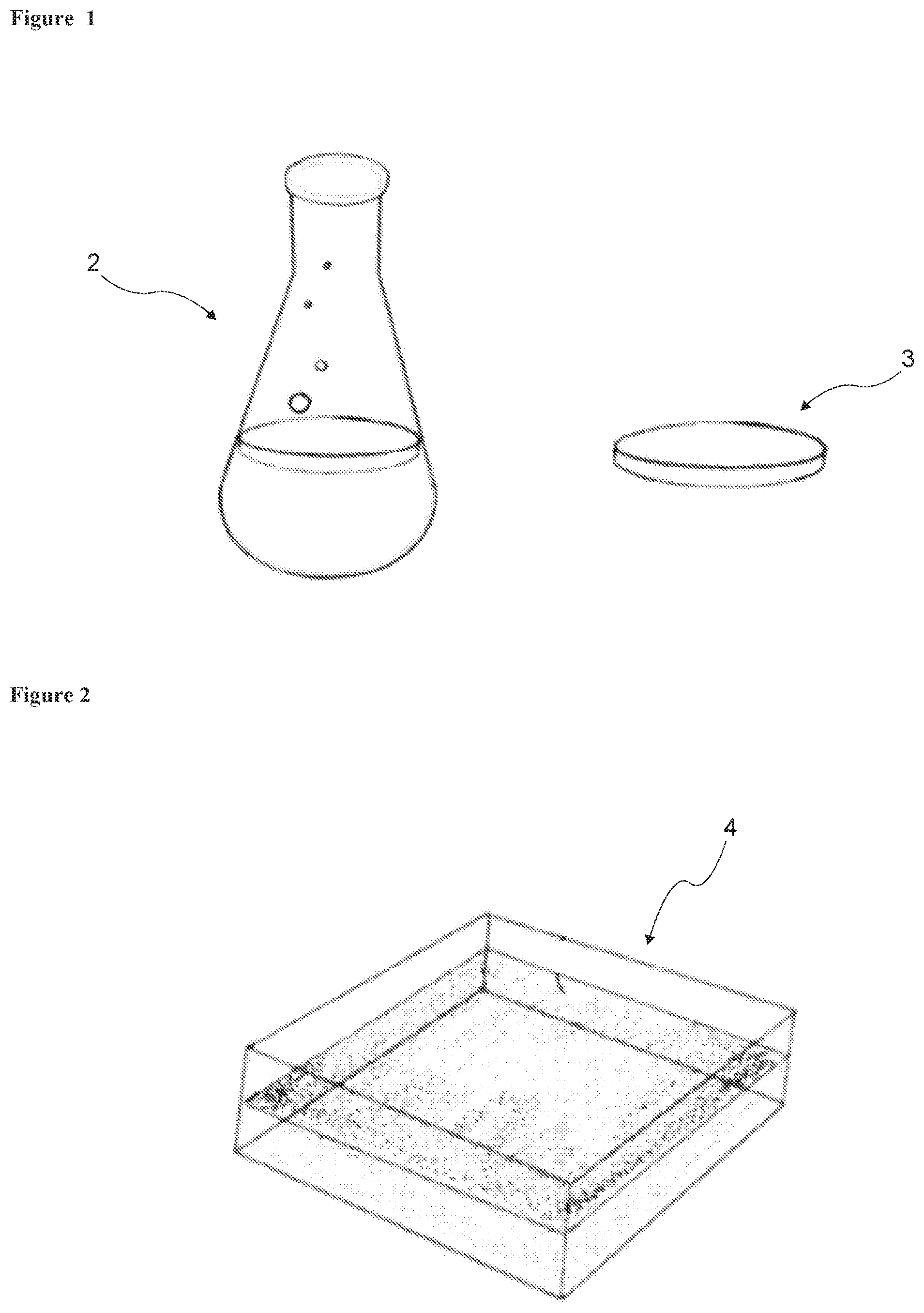 Patent US12492508 — Bioleather production method — Figure 1