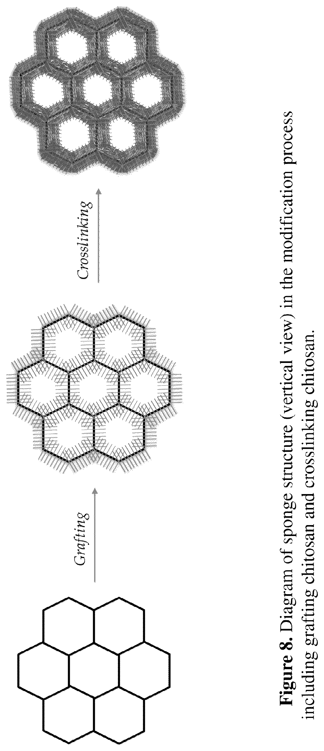 Patent US12492509 Figure 8 – Gravity-driven chitosan-enhanced melamine sponge for stable ultrafast filtration