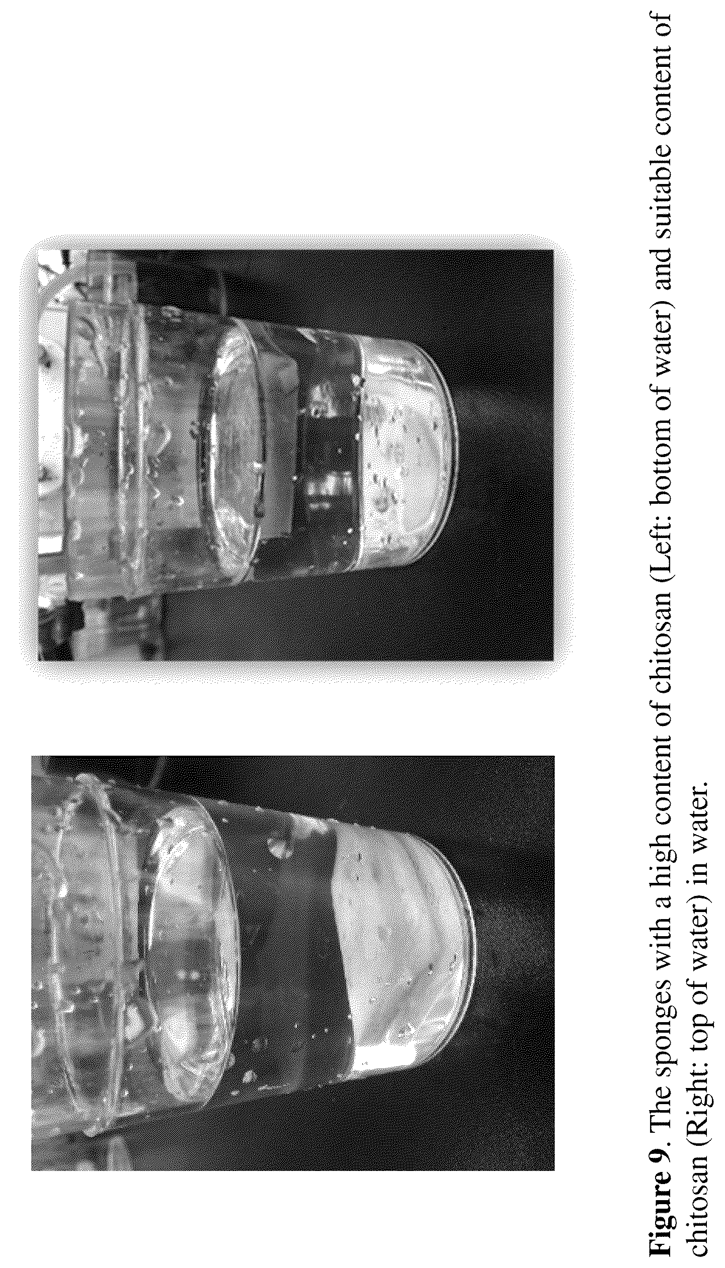 Patent US12492509 Figure 9 – Gravity-driven chitosan-enhanced melamine sponge for stable ultrafast filtration