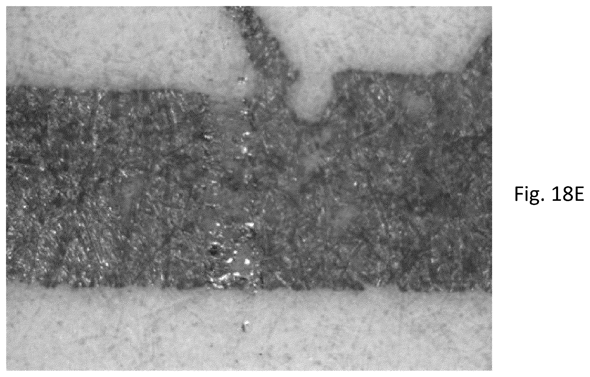 Patent US12492512 Figure 19 – Functional paper for electronics printing and methods of making