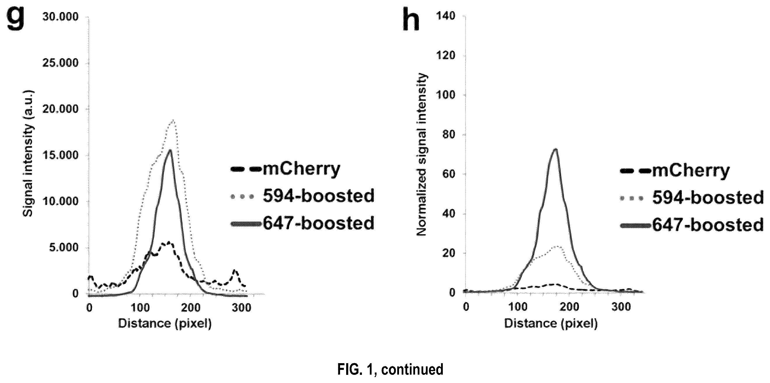 Patent US12492973 Figure 3 – Methods for large tissue labeling, clearing and imaging