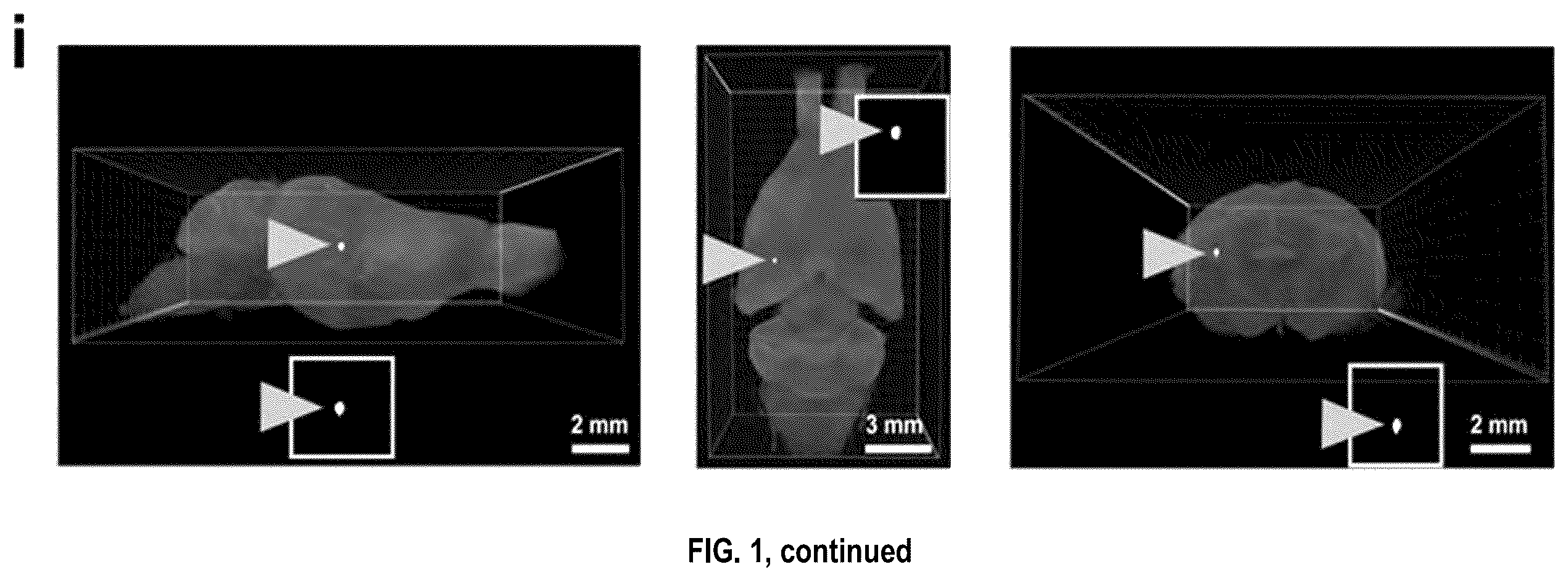 Patent US12492973 Figure 4 – Methods for large tissue labeling, clearing and imaging