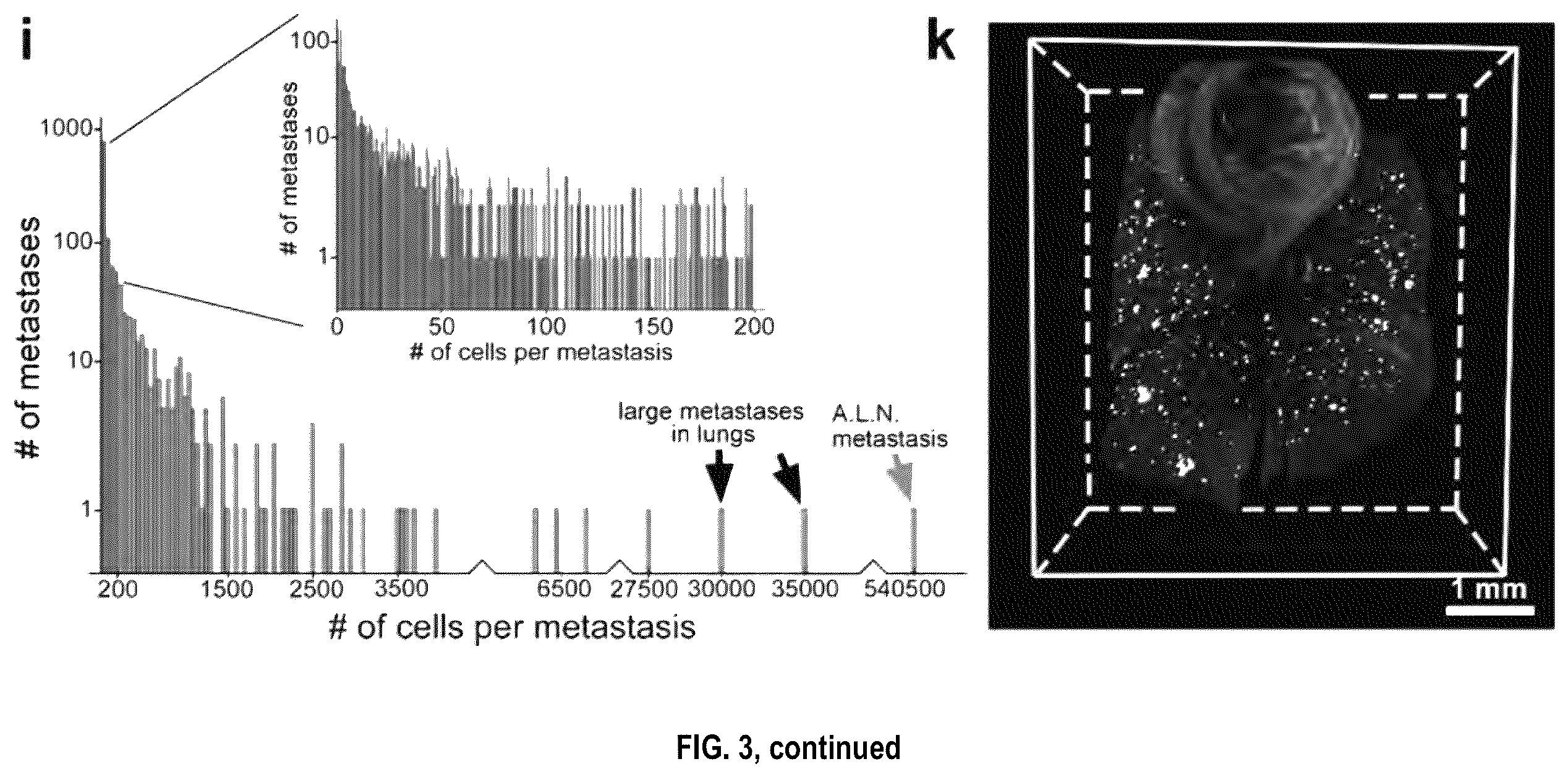 Patent US12492973 Figure 9 – Methods for large tissue labeling, clearing and imaging