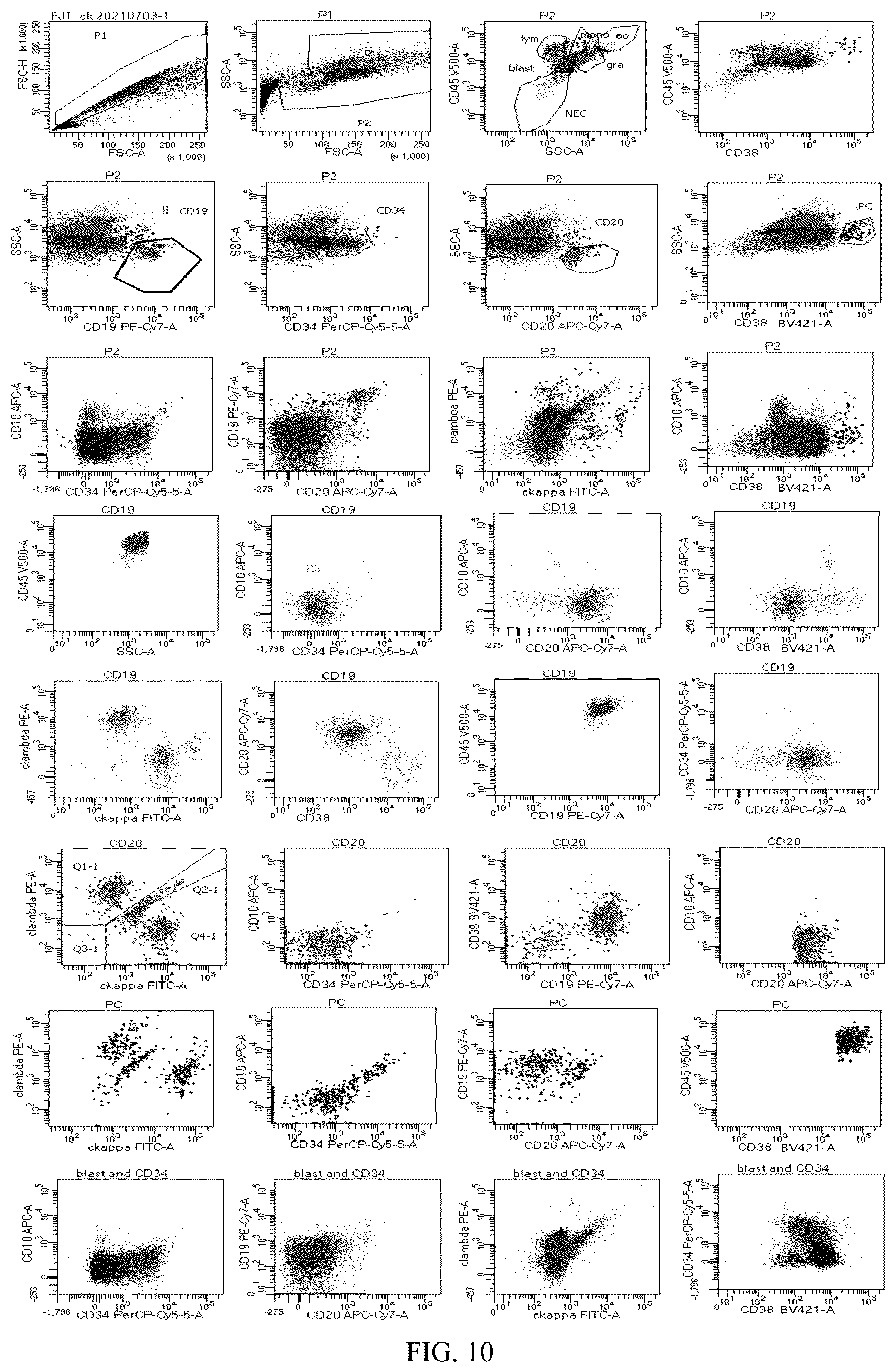 Patent US12492980 Figure 10 – Antibody combination for one-step screening and/or diagnosis of clonal diseases and related application