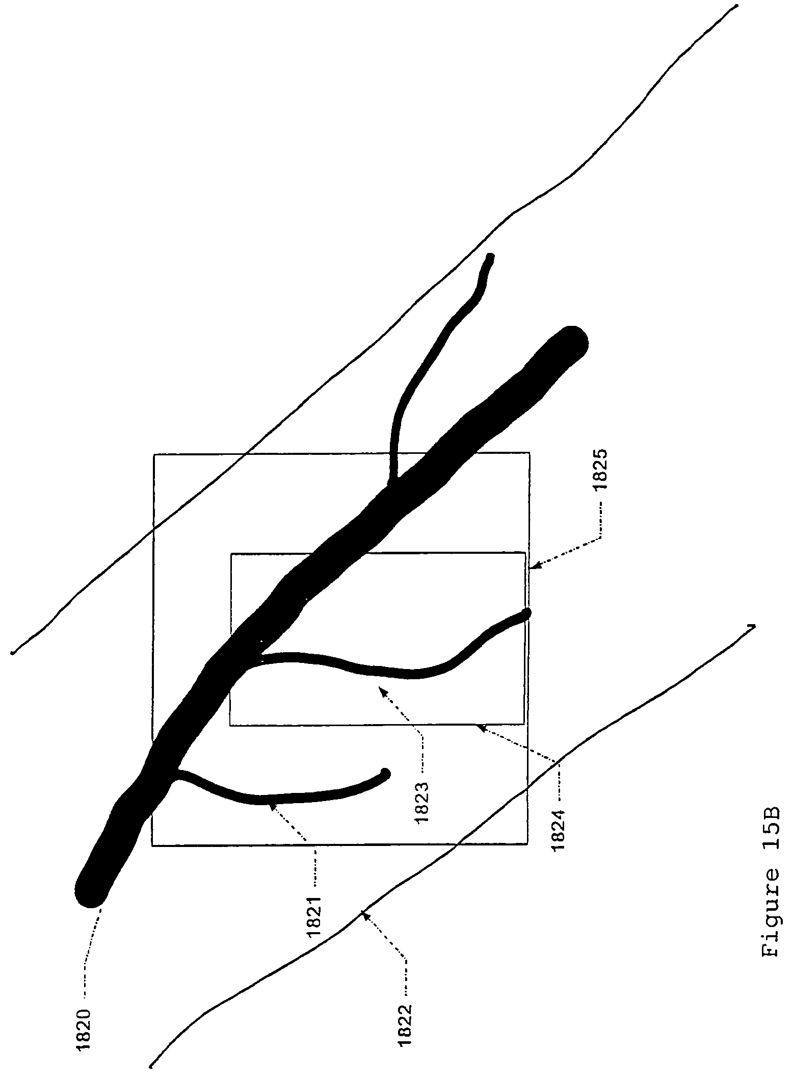 Patent US12496012 Figure 19 – Scanned laser vein contrast enhancer with eye safety protection with respect to emitted laser light