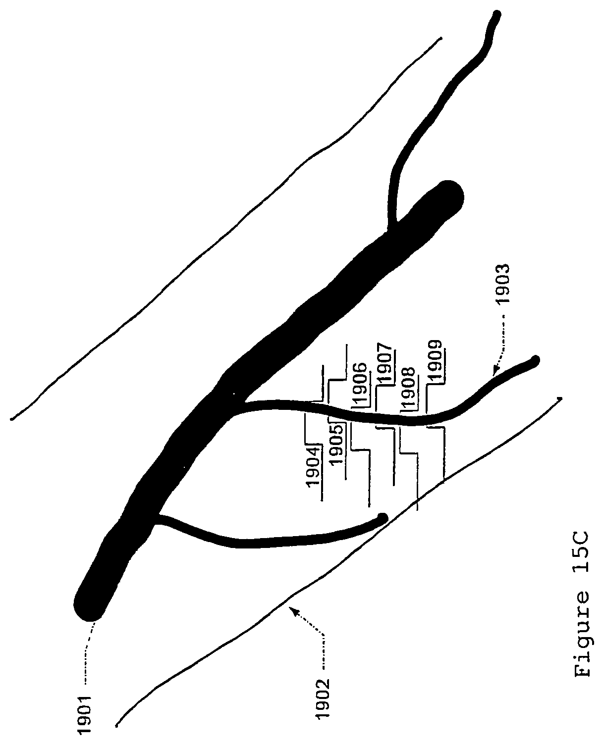 Patent US12496012 Figure 20 – Scanned laser vein contrast enhancer with eye safety protection with respect to emitted laser light