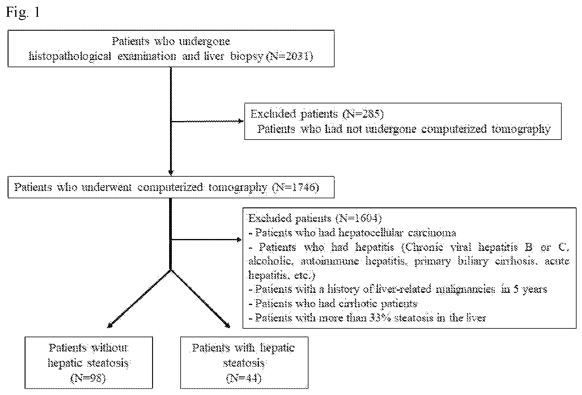 Patent US12496025 Figure 1 – Method for providing the information for diagnosing of nonalcoholic steatohepatitis
