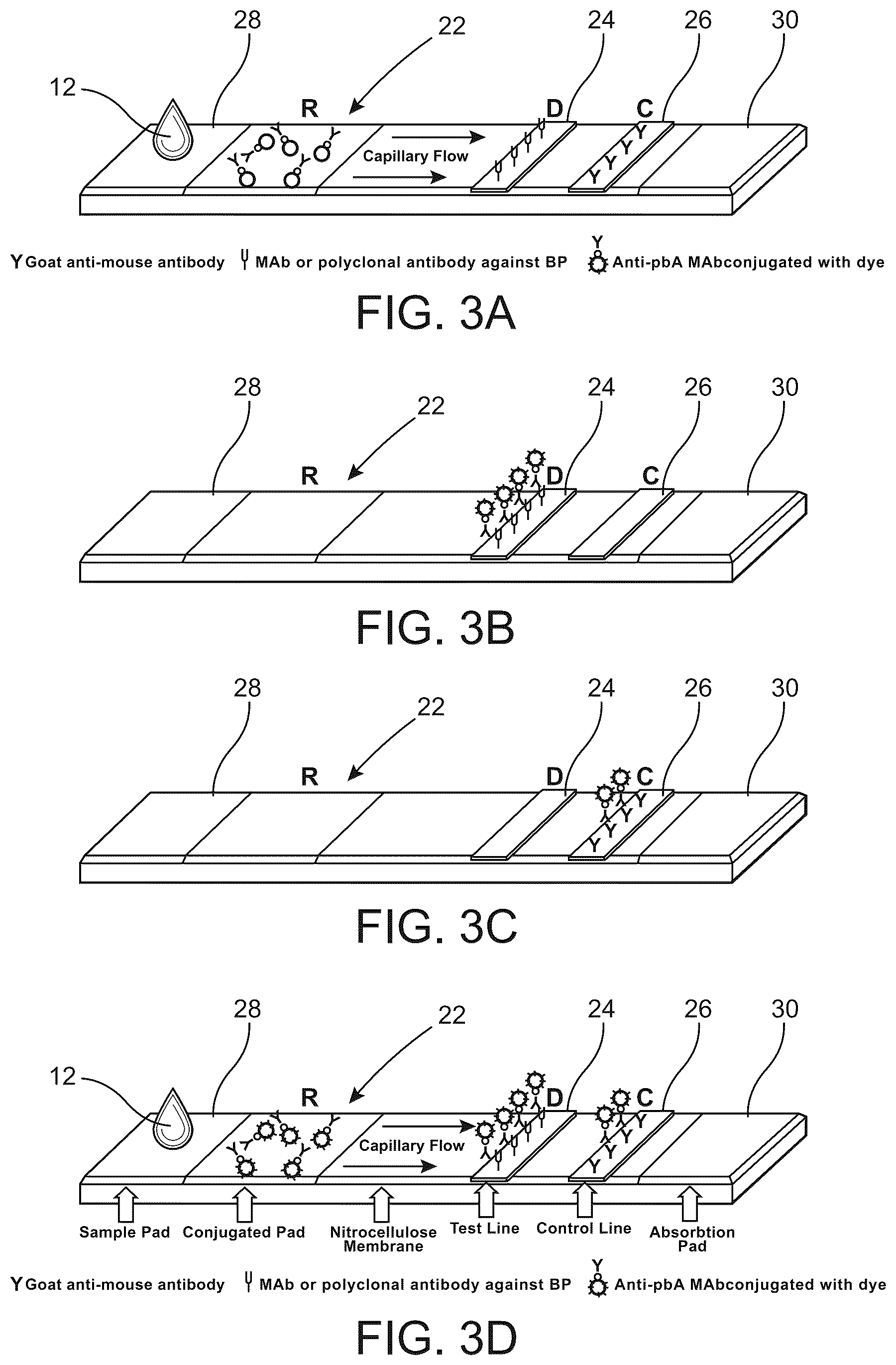 Patent US12496049 Figure 3 – Nasal irrigation diagnostic assembly