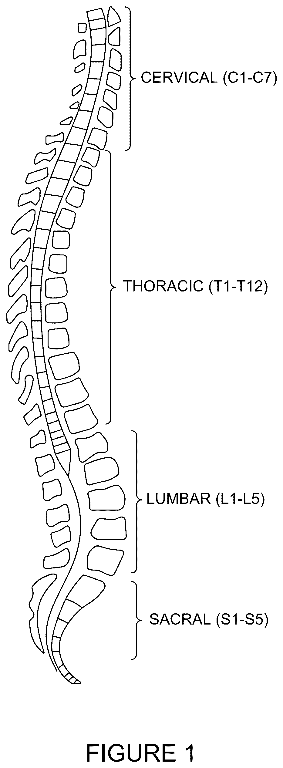 Patent US12496094 Figure 1 – Methods of detecting and treating back pain