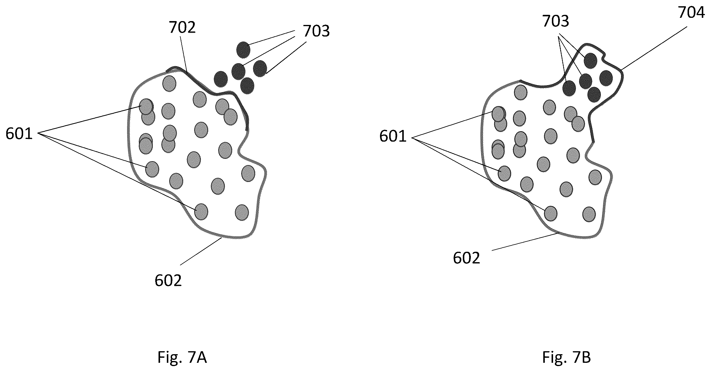 Patent US12496138 Figure 7 – Automated tool for identifying and correcting tenting artifacts in anatomical mapping