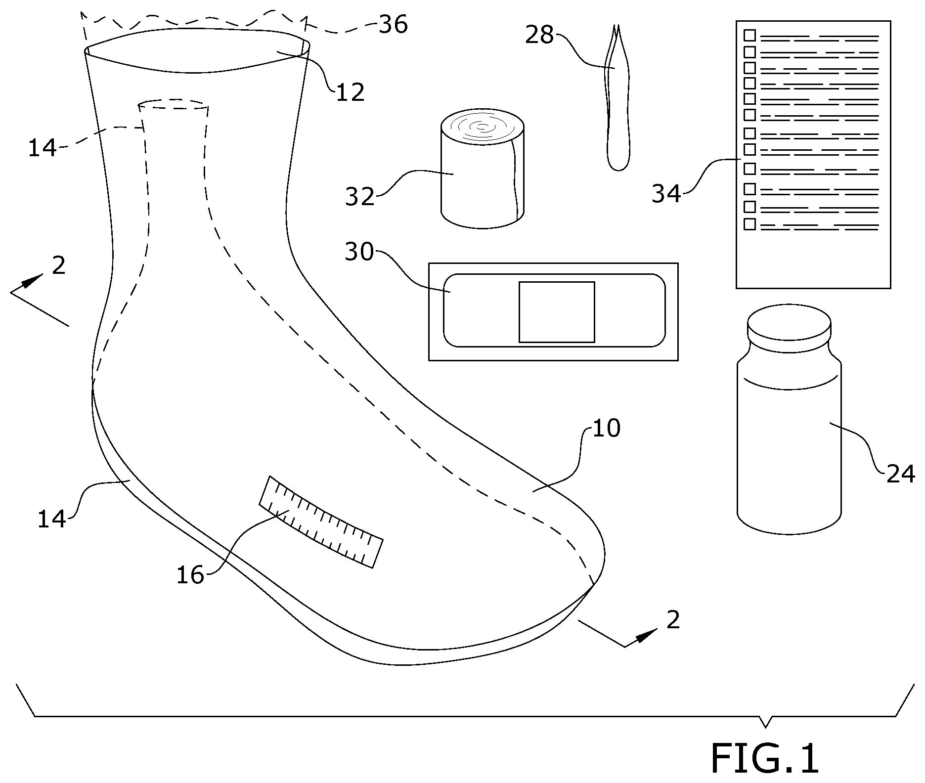 Patent US12496231 Figure 1 – Treatment system for post marine envenomation