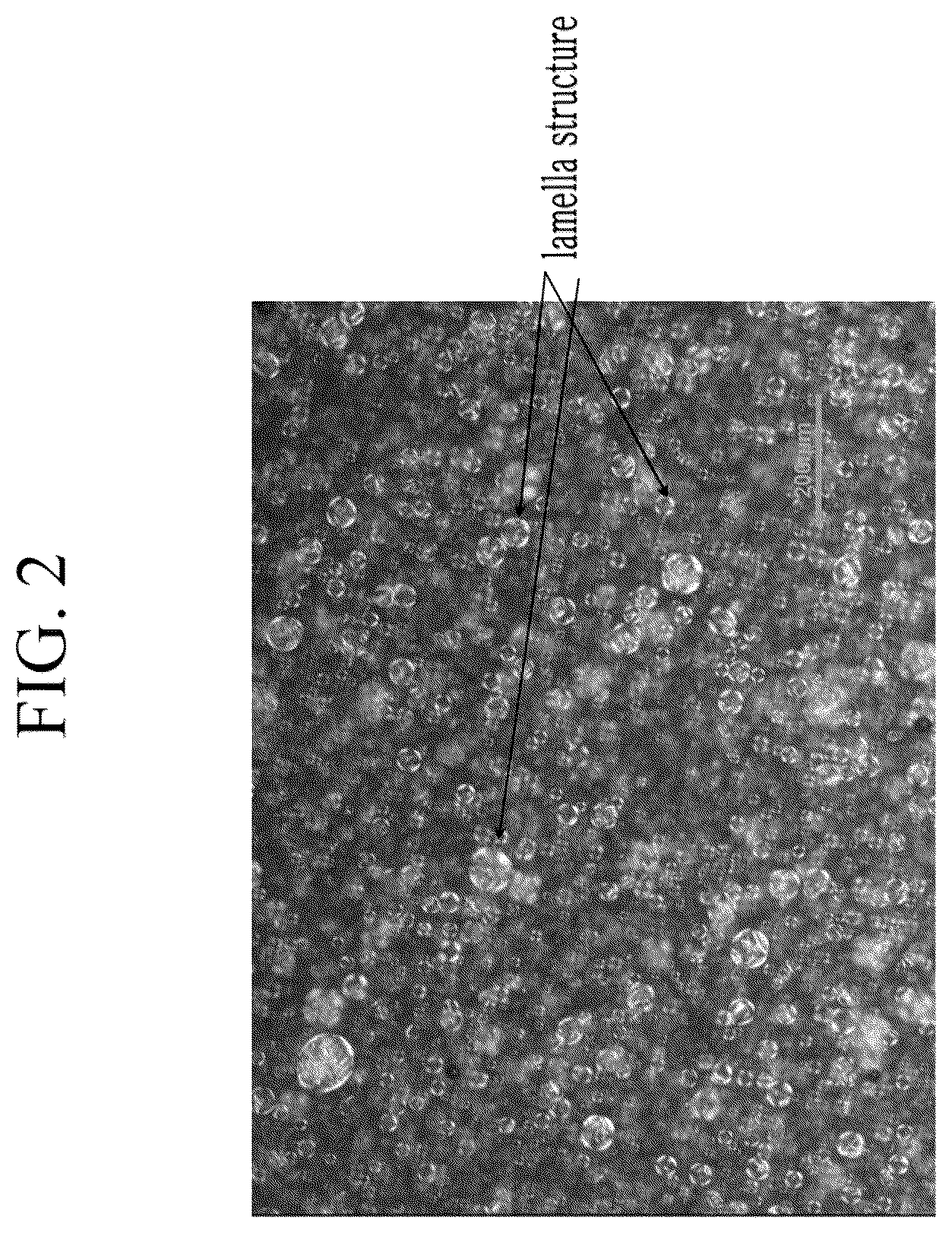 Patent US12496259 Figure 2 – Sheet-type mask gel composition, mask sheet comprising the same and manufacturing method of mask sheet