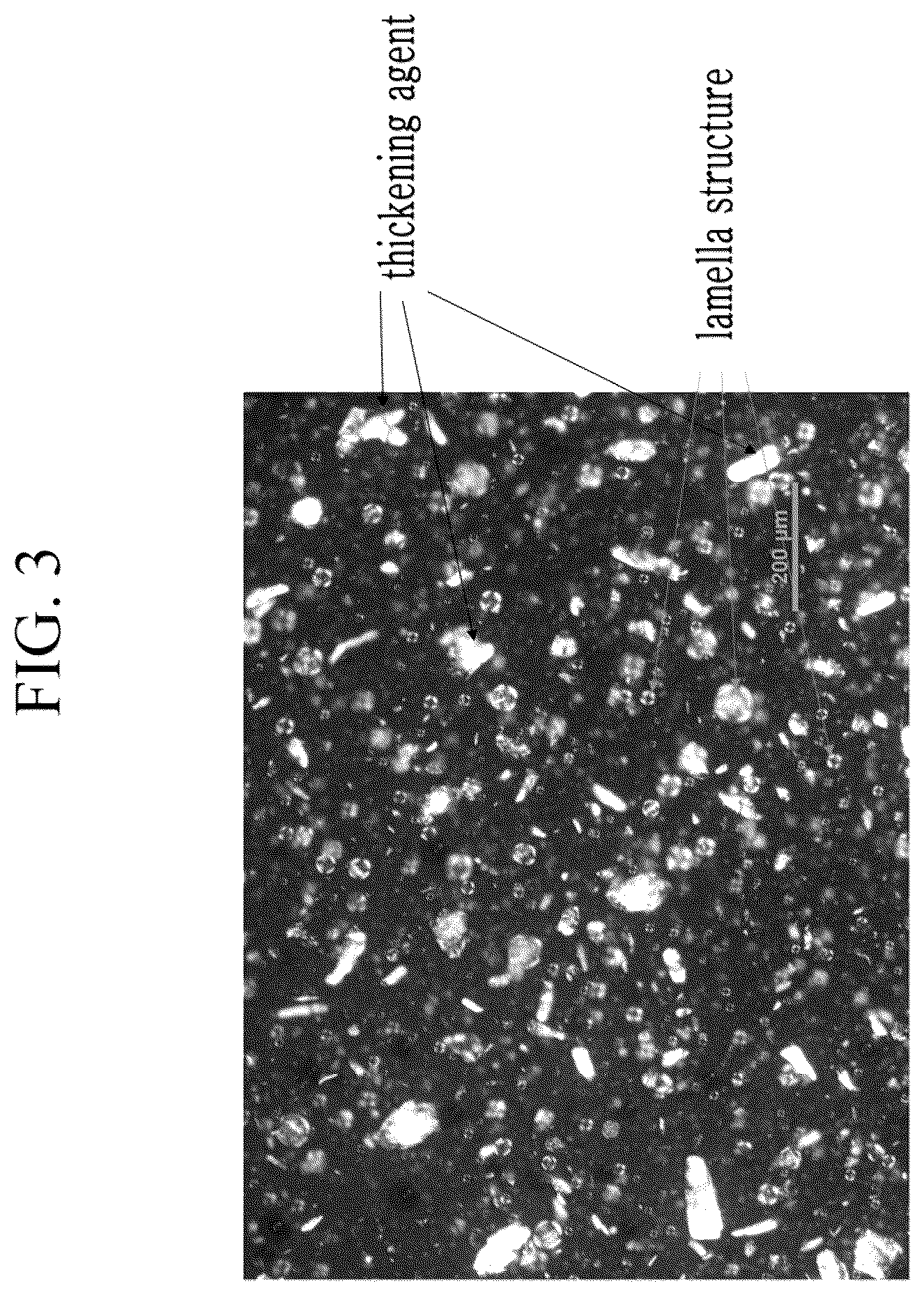 Patent US12496259 Figure 3 – Sheet-type mask gel composition, mask sheet comprising the same and manufacturing method of mask sheet