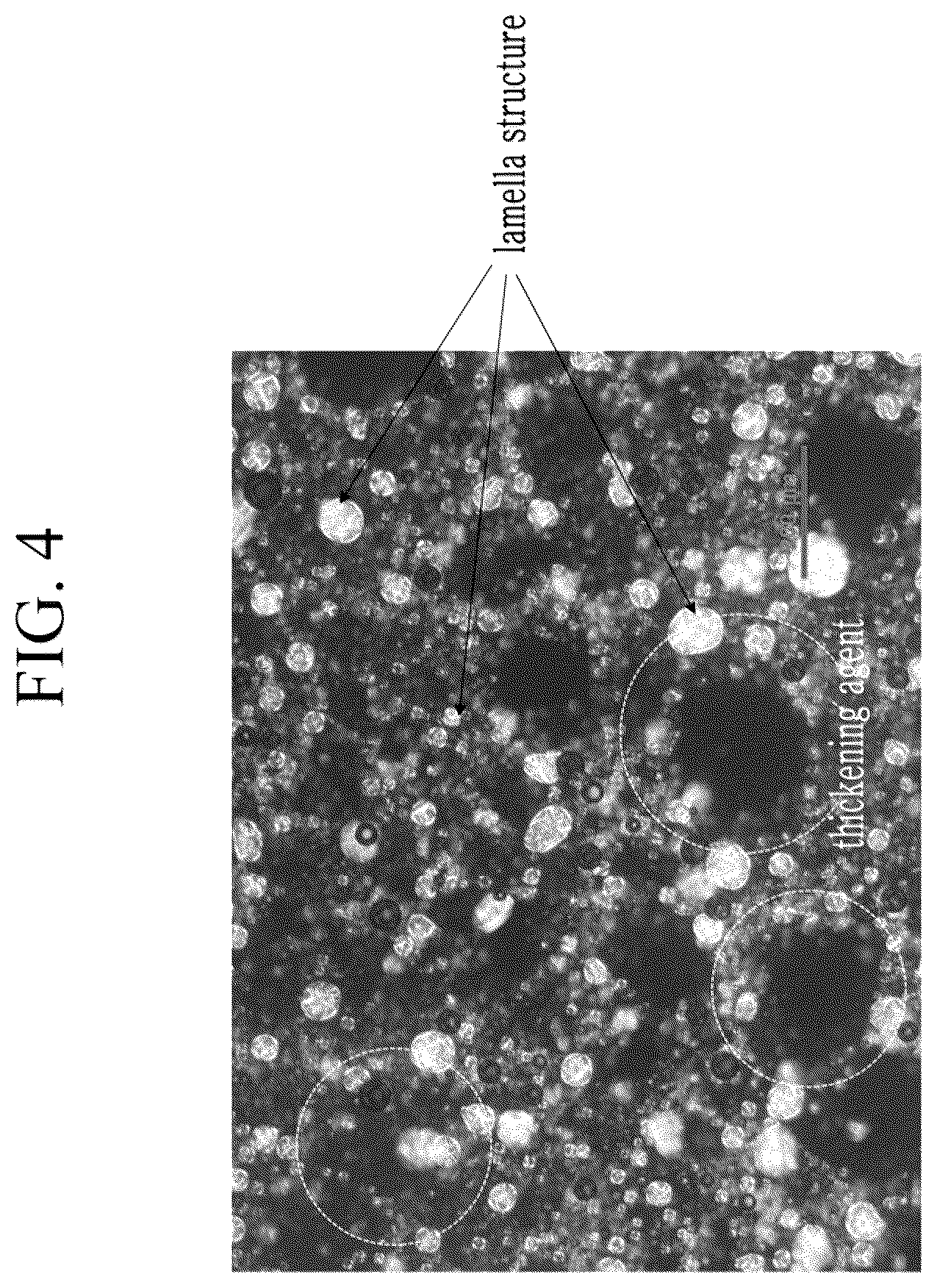 Patent US12496259 Figure 4 – Sheet-type mask gel composition, mask sheet comprising the same and manufacturing method of mask sheet