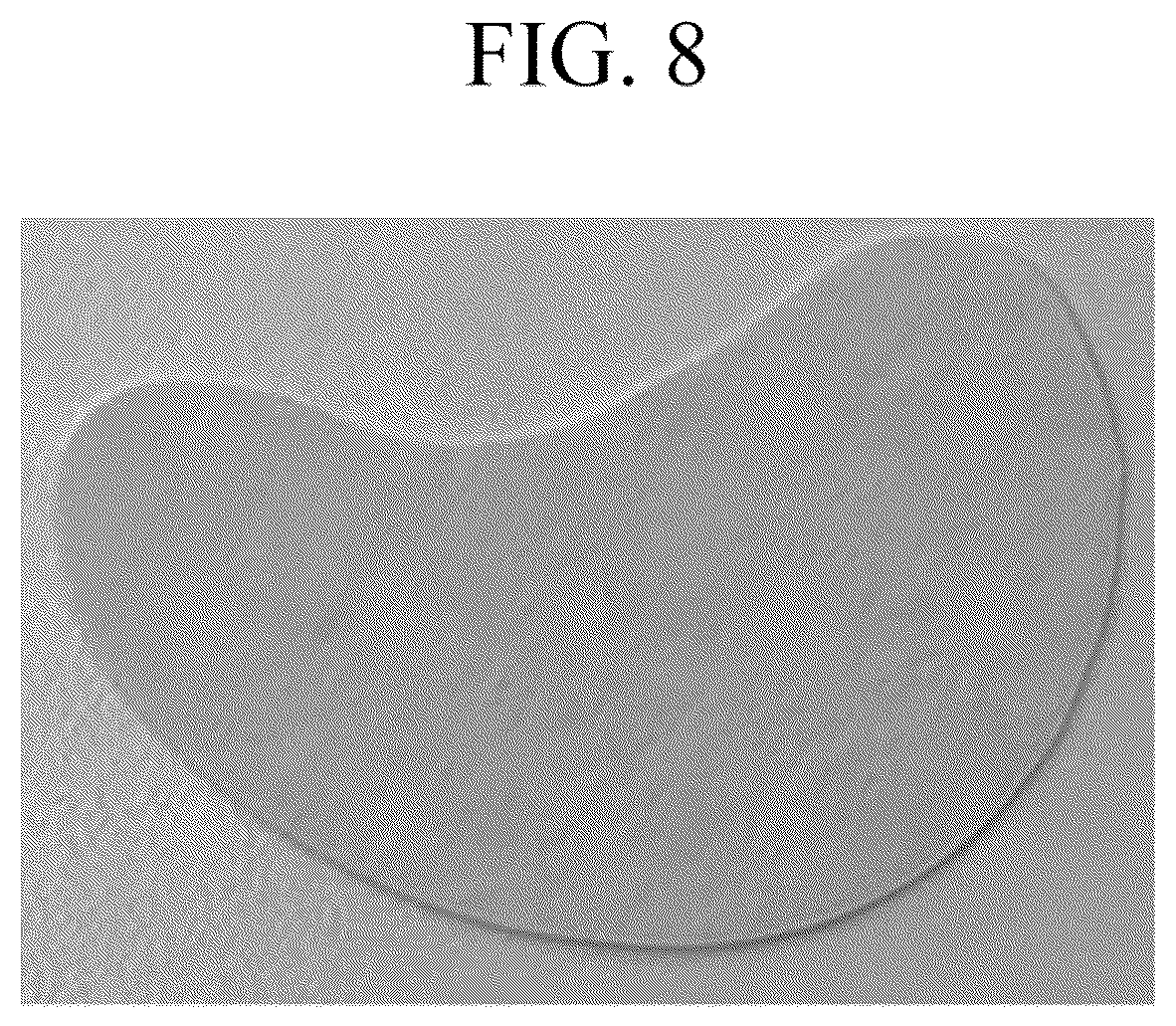 Patent US12496259 Figure 8 – Sheet-type mask gel composition, mask sheet comprising the same and manufacturing method of mask sheet