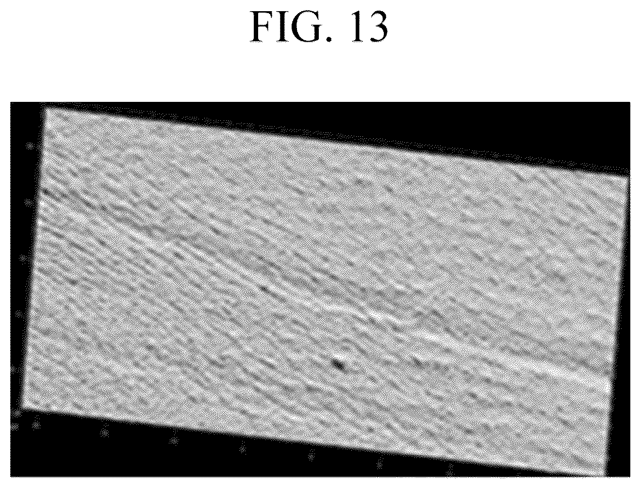 Patent US12496259 Figure 13 – Sheet-type mask gel composition, mask sheet comprising the same and manufacturing method of mask sheet