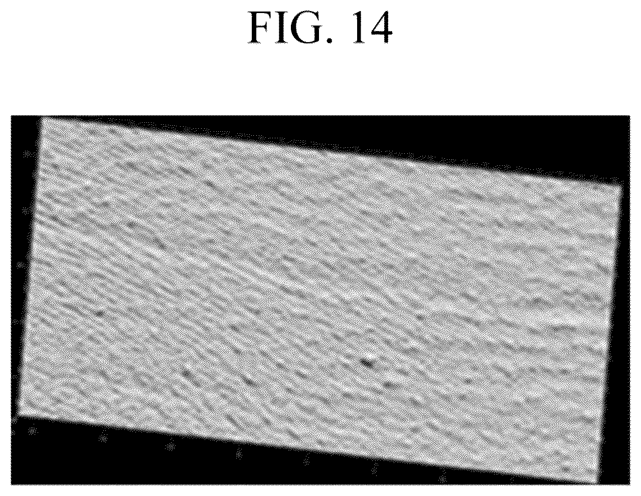 Patent US12496259 Figure 14 – Sheet-type mask gel composition, mask sheet comprising the same and manufacturing method of mask sheet