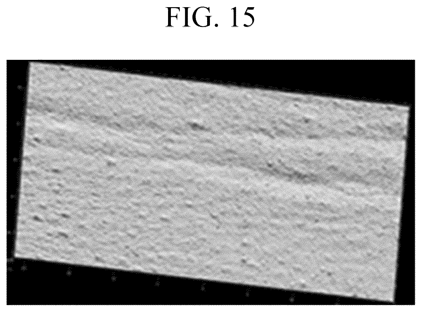 Patent US12496259 Figure 15 – Sheet-type mask gel composition, mask sheet comprising the same and manufacturing method of mask sheet