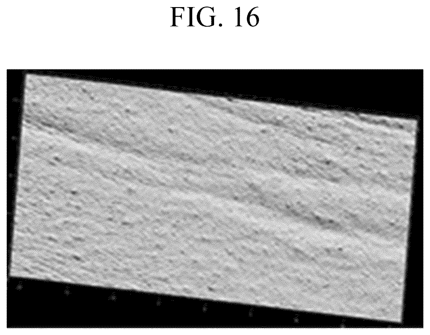 Patent US12496259 Figure 16 – Sheet-type mask gel composition, mask sheet comprising the same and manufacturing method of mask sheet