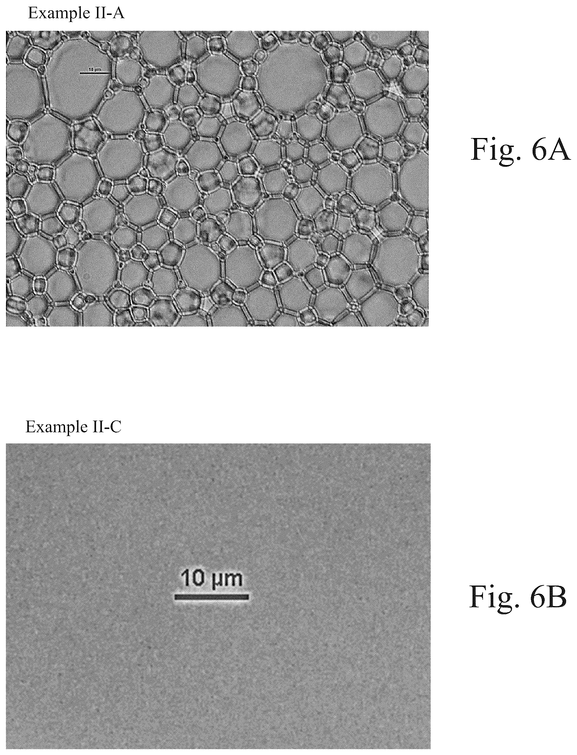 Patent US12496262 Figure 6 – Jammed emulsion toothpaste compositions