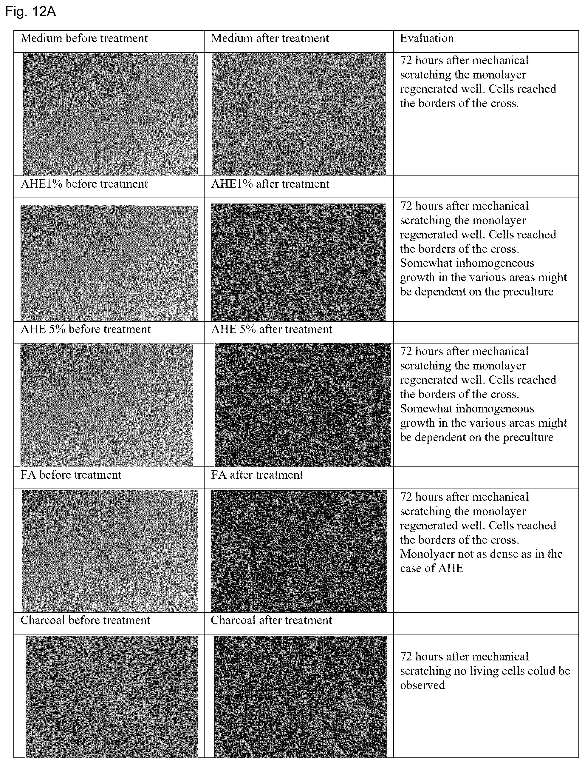 Patent US12496267 Figure 13 – Extract of organic humified materials
