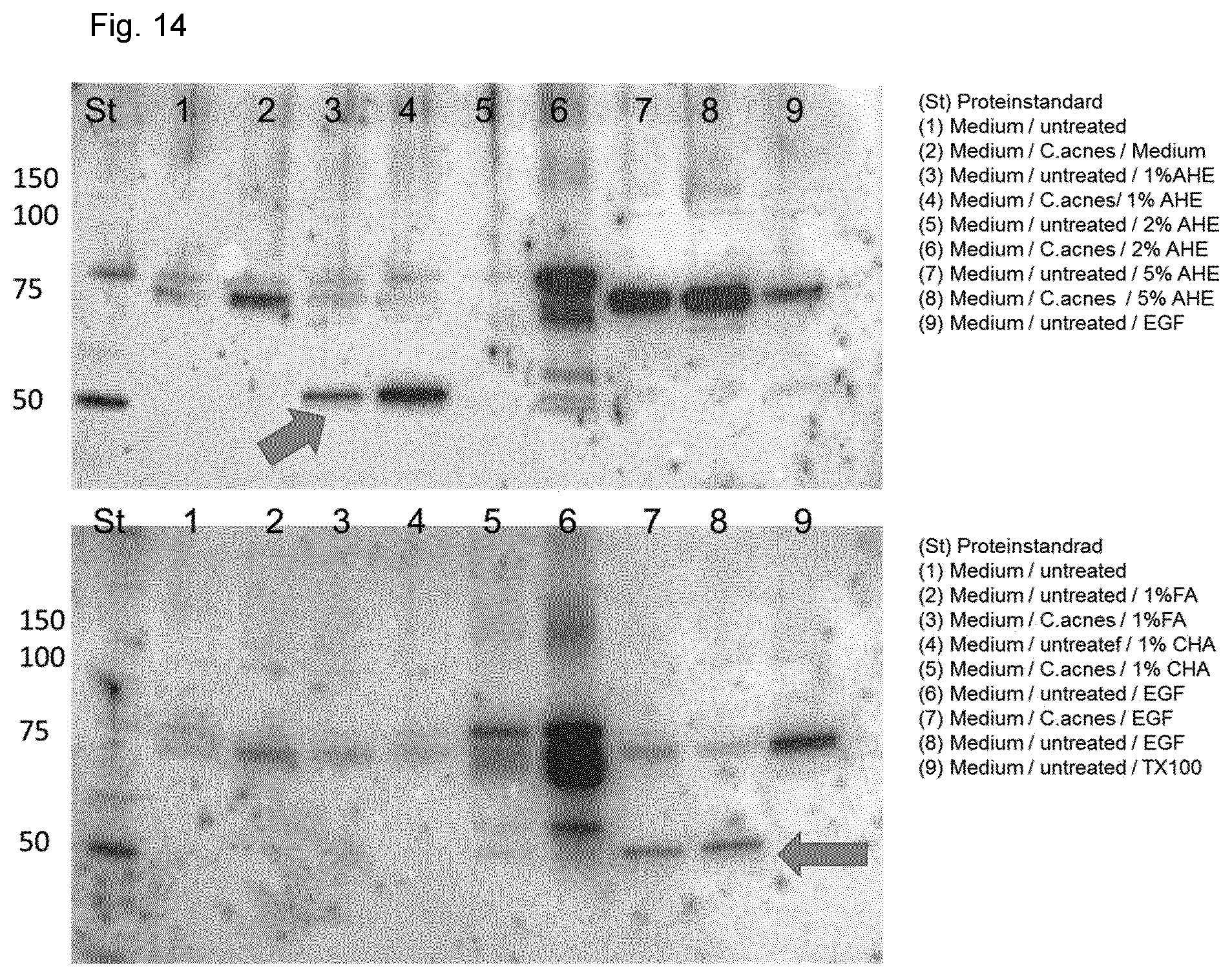 Patent US12496267 Figure 15 – Extract of organic humified materials