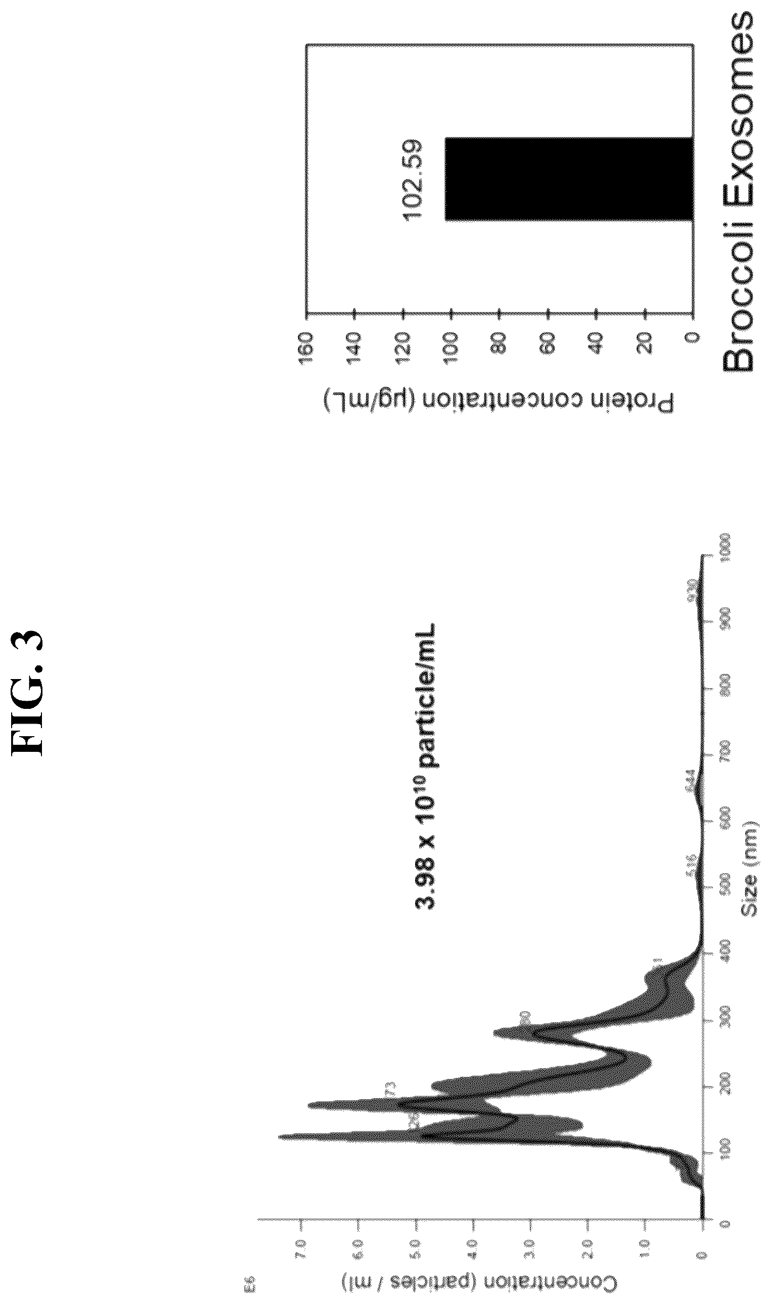 Patent US12496268 Figure 2 – Anti-aging and antioxidant cosmetic composition containing broccoli exosomes as active ingredient and functional cosmetics comprising same