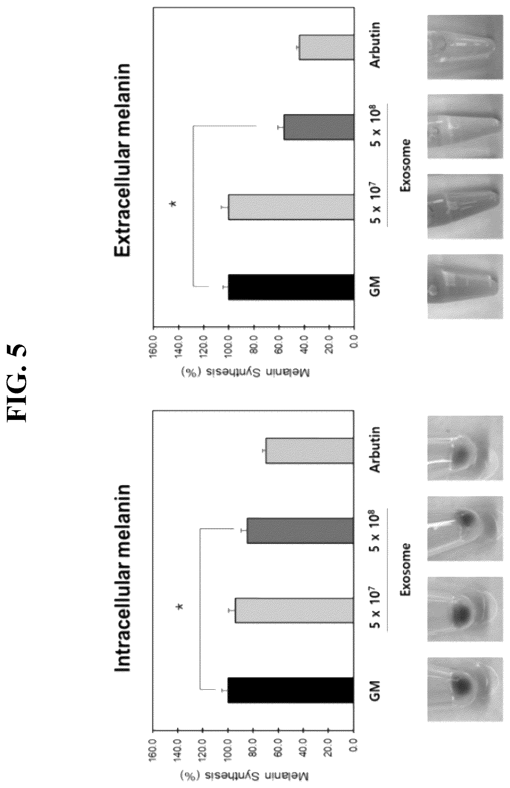 Patent US12496268 Figure 4 – Anti-aging and antioxidant cosmetic composition containing broccoli exosomes as active ingredient and functional cosmetics comprising same
