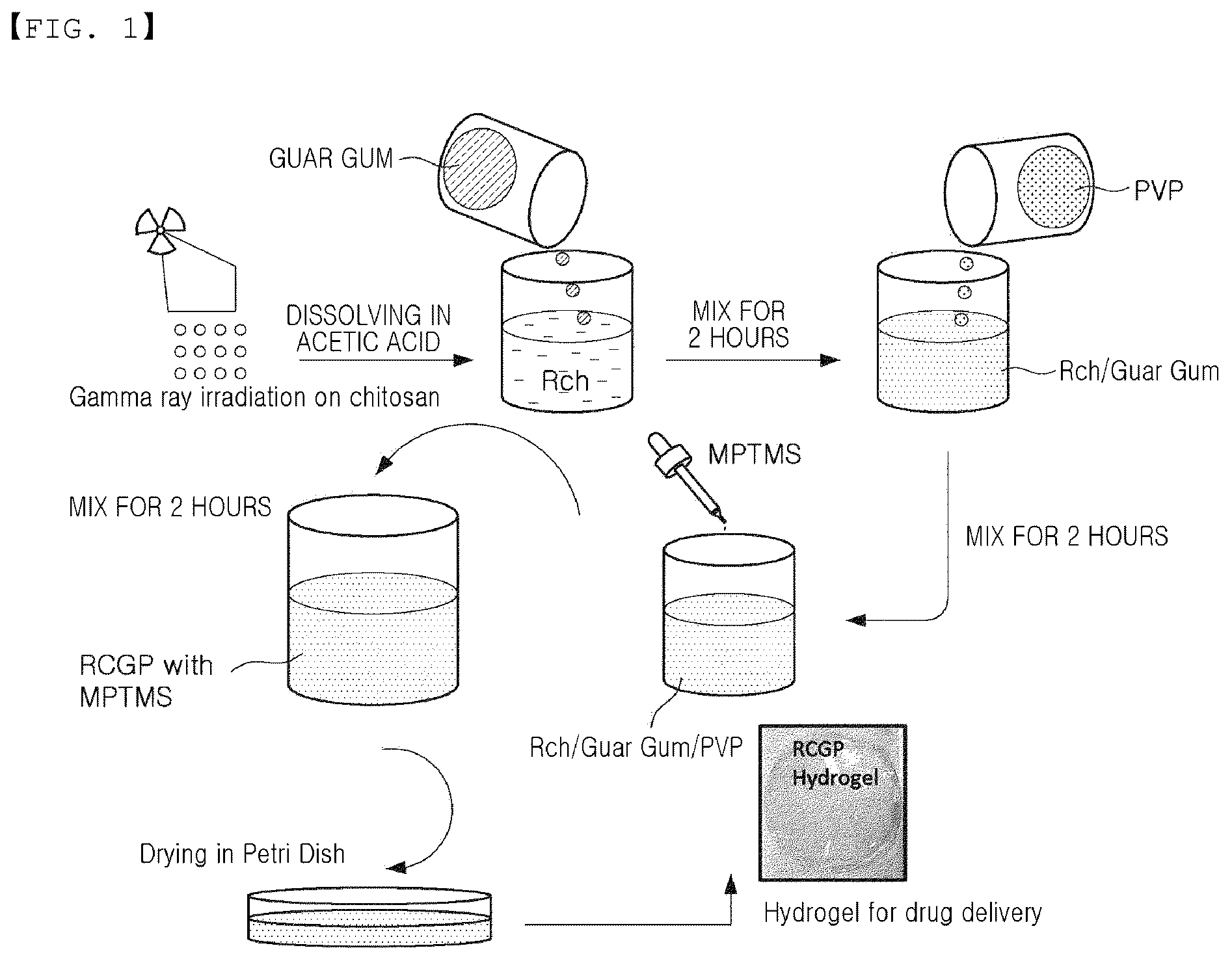 Patent US12496273 — Hydrogel and method for preparing the same — Figure 1