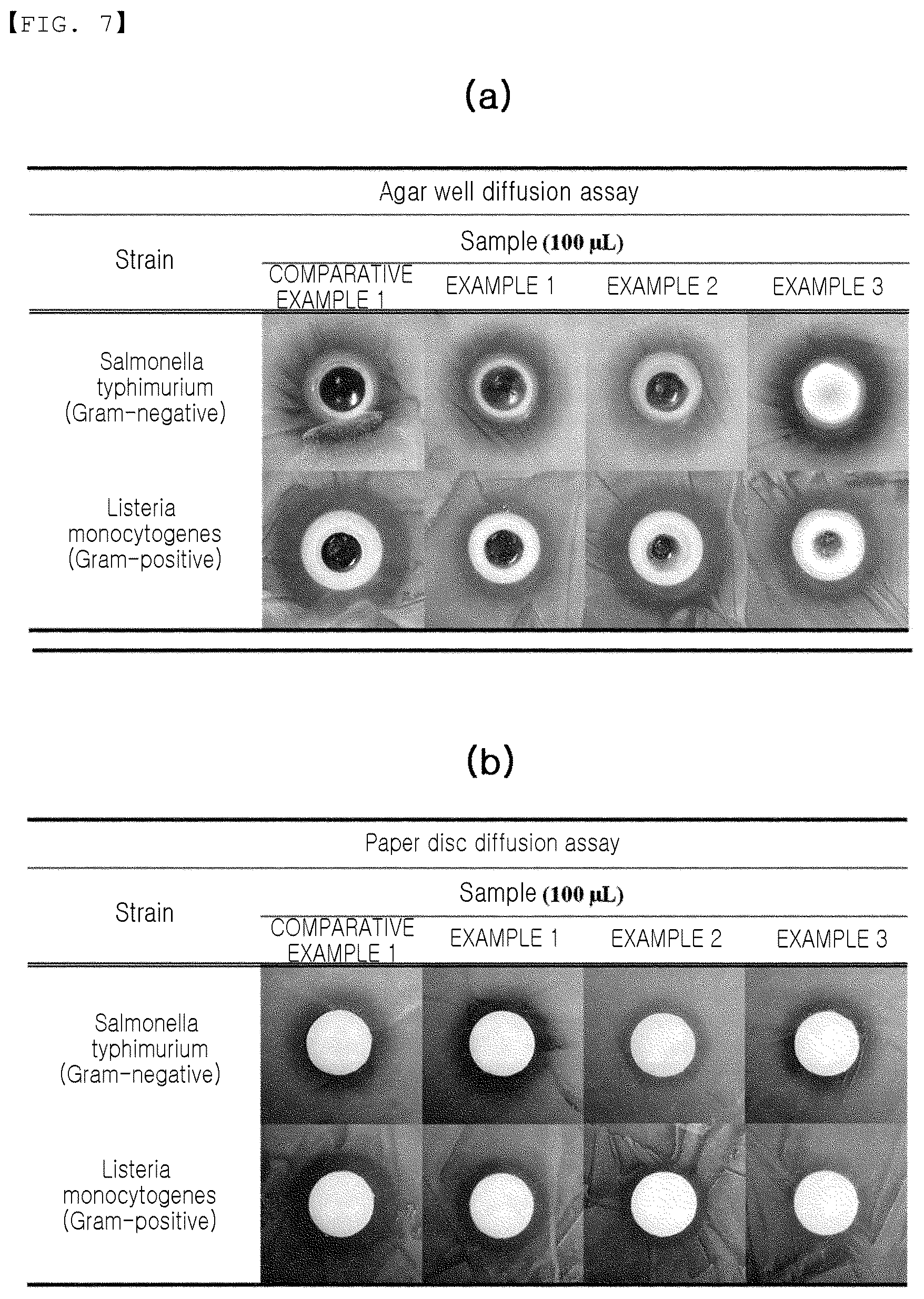 Patent US12496273 Figure 7 – Hydrogel and method for preparing the same