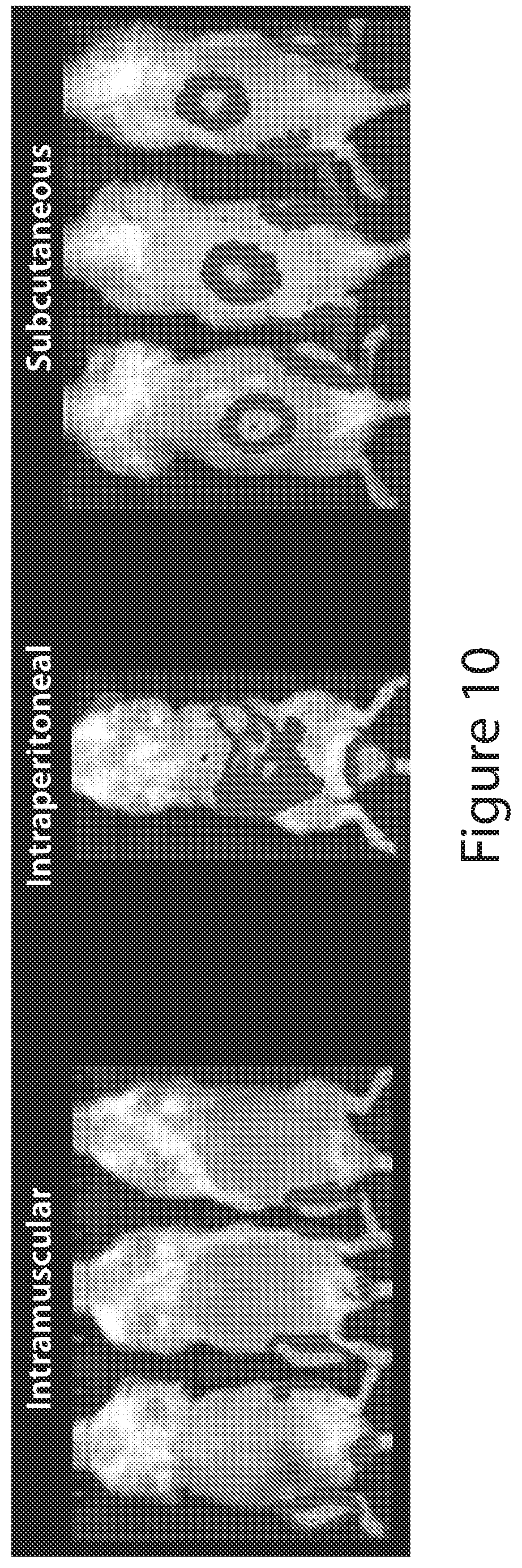 Patent US12496274 Figure 10 – Compositions and methods for compartment-specific cargo delivery