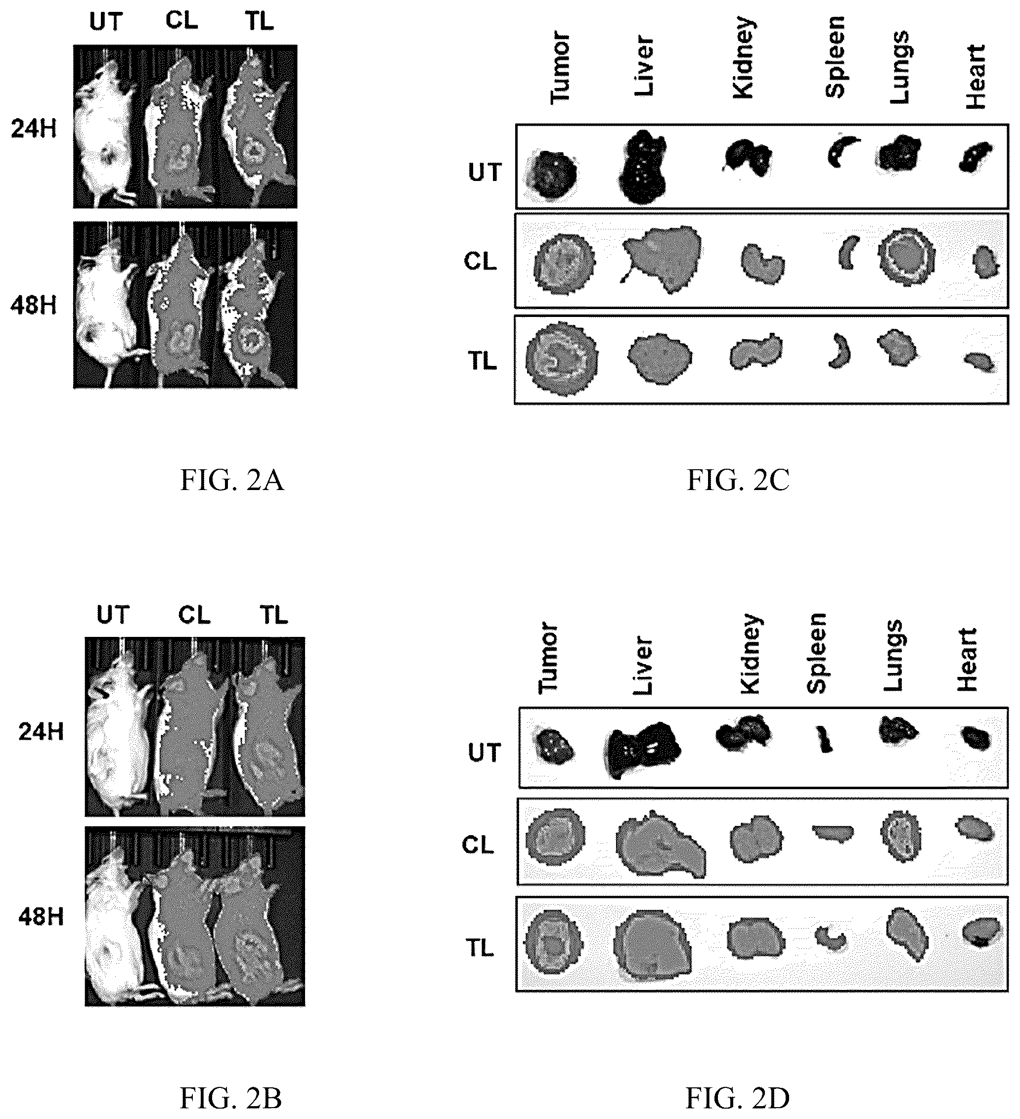 Patent US12496275 Figure 2 – Drug delivery methods and compositions