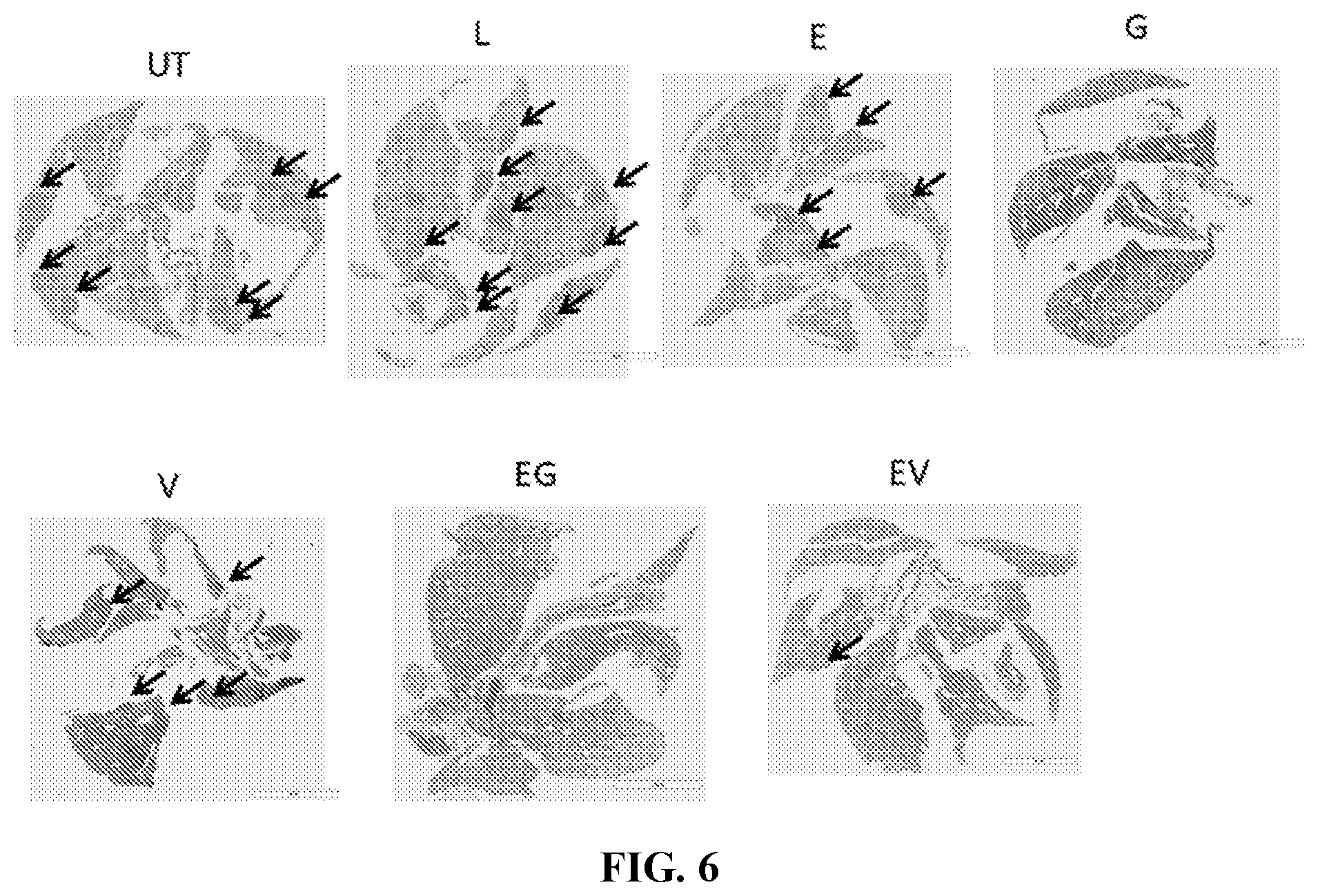 Patent US12496275 Figure 6 – Drug delivery methods and compositions