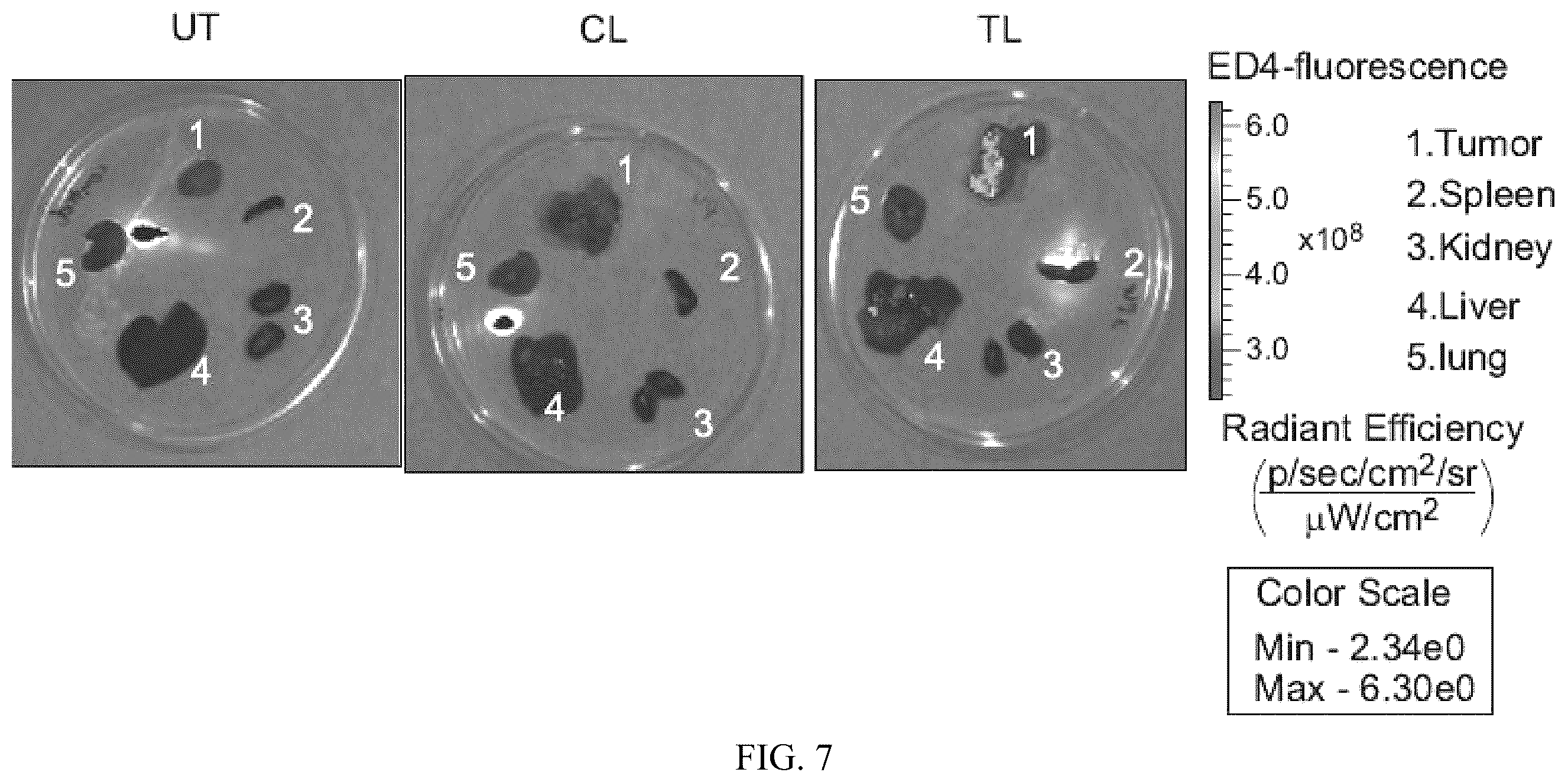 Patent US12496275 Figure 7 – Drug delivery methods and compositions