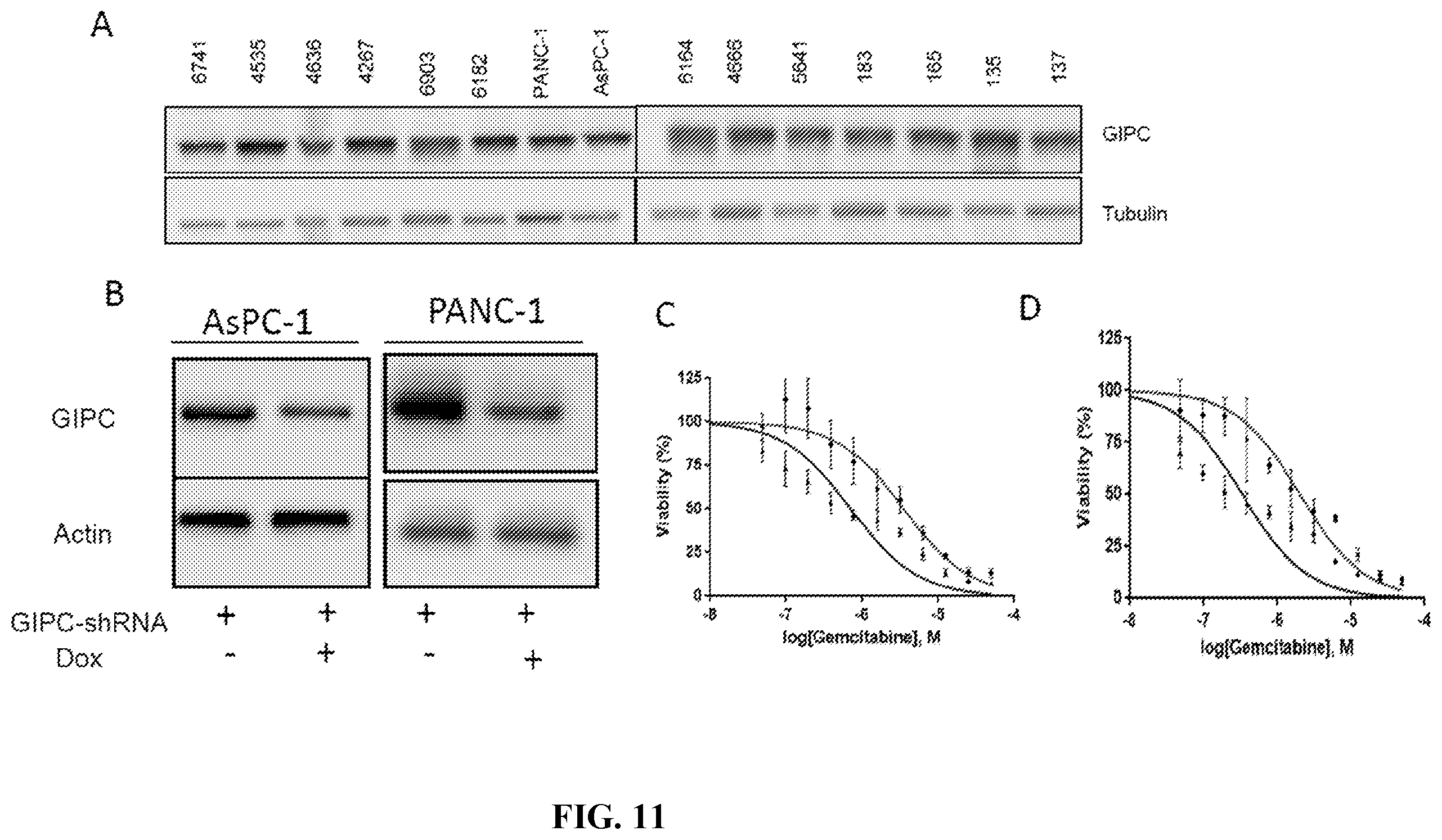 Patent US12496275 Figure 11 – Drug delivery methods and compositions