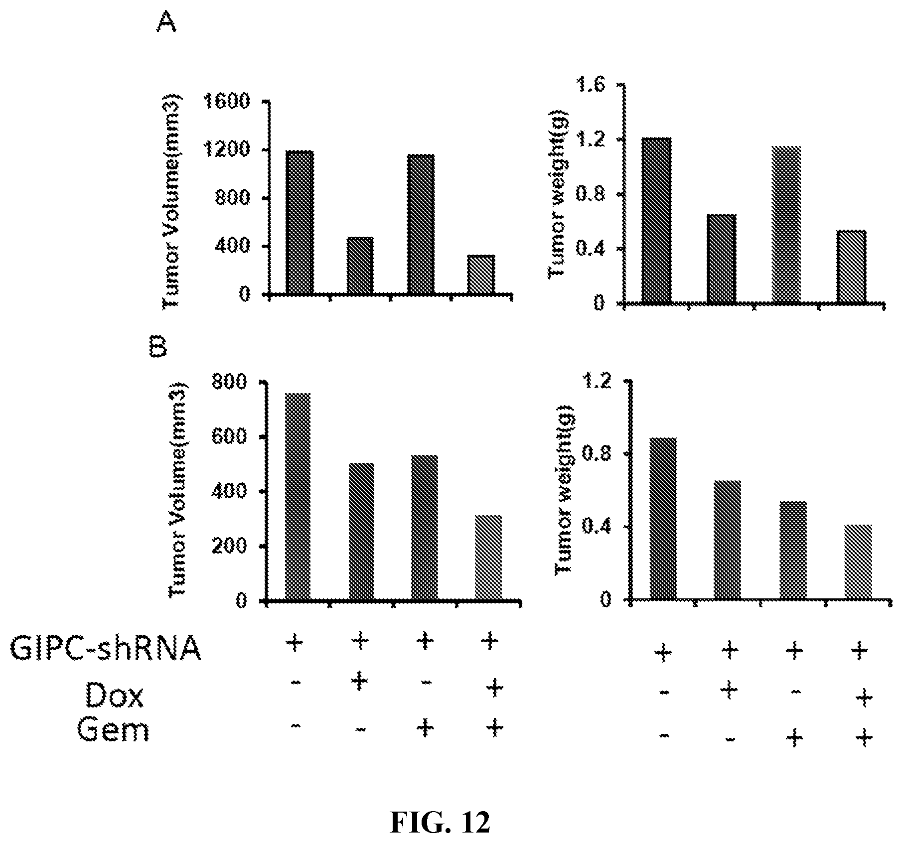 Patent US12496275 Figure 12 – Drug delivery methods and compositions