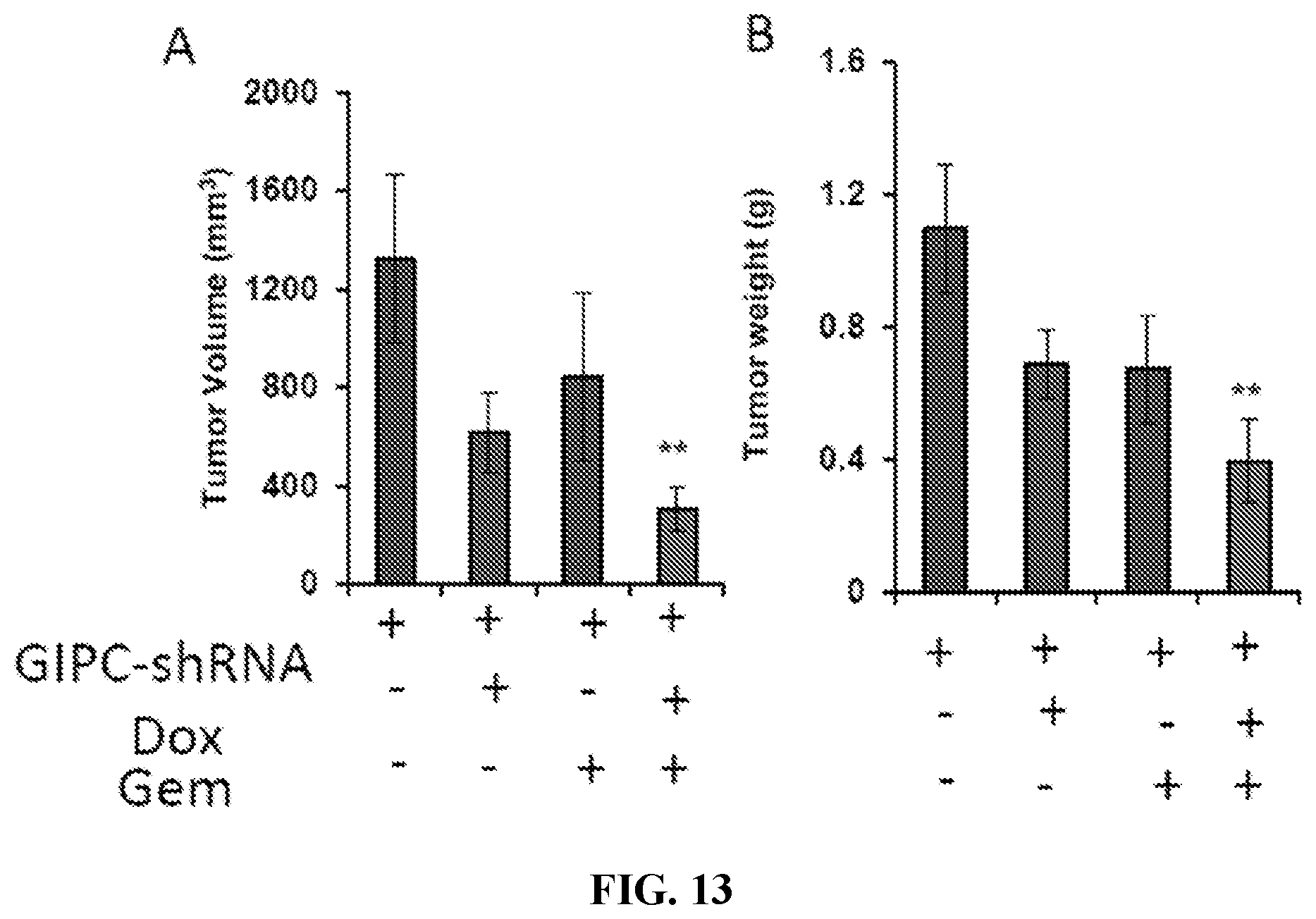 Patent US12496275 Figure 13 – Drug delivery methods and compositions