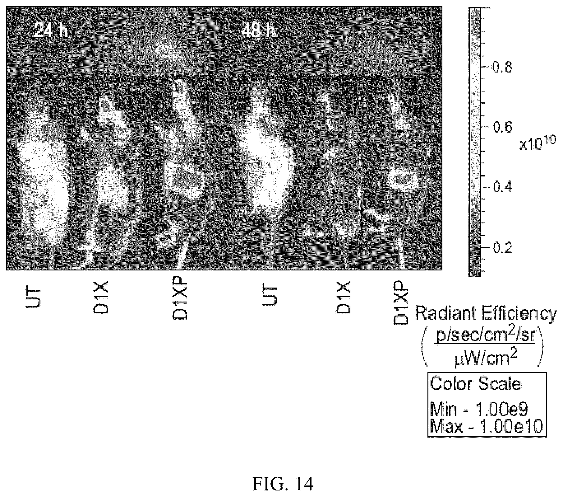 Patent US12496275 Figure 14 – Drug delivery methods and compositions