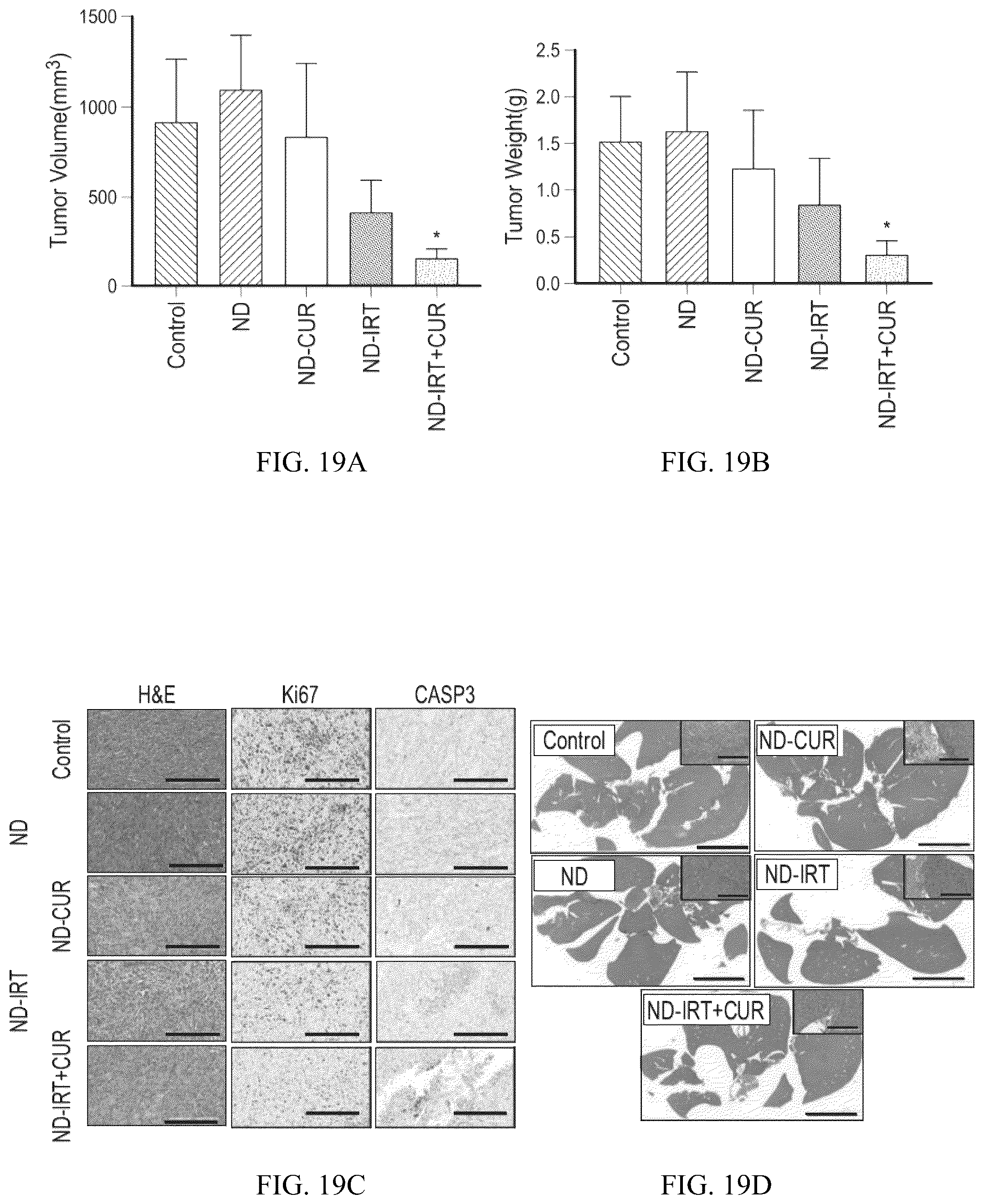 Patent US12496275 Figure 19 – Drug delivery methods and compositions