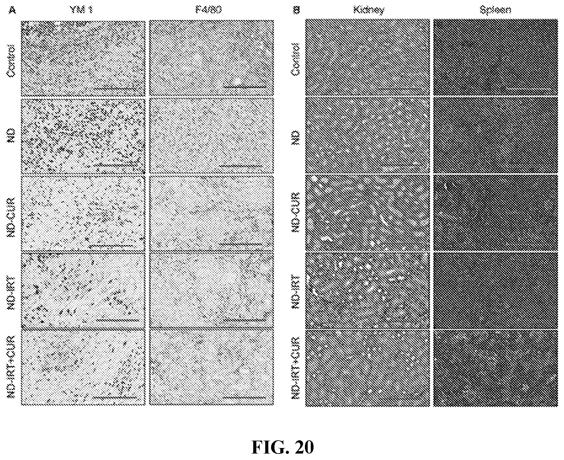 Patent US12496275 Figure 20 – Drug delivery methods and compositions