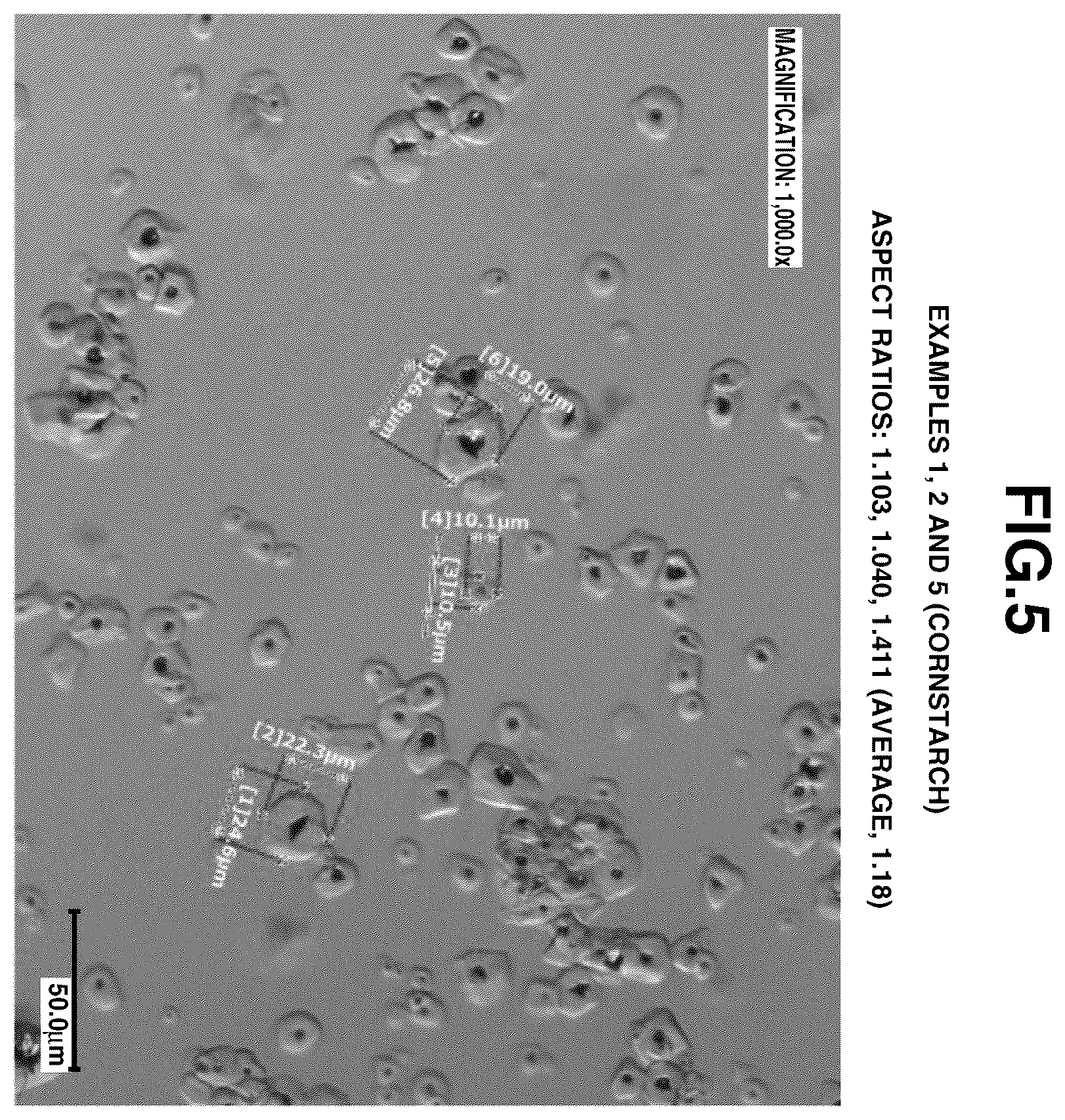Patent US12496277 Figure 4 – Granulation composition formed from core particles, coating particles and a binder