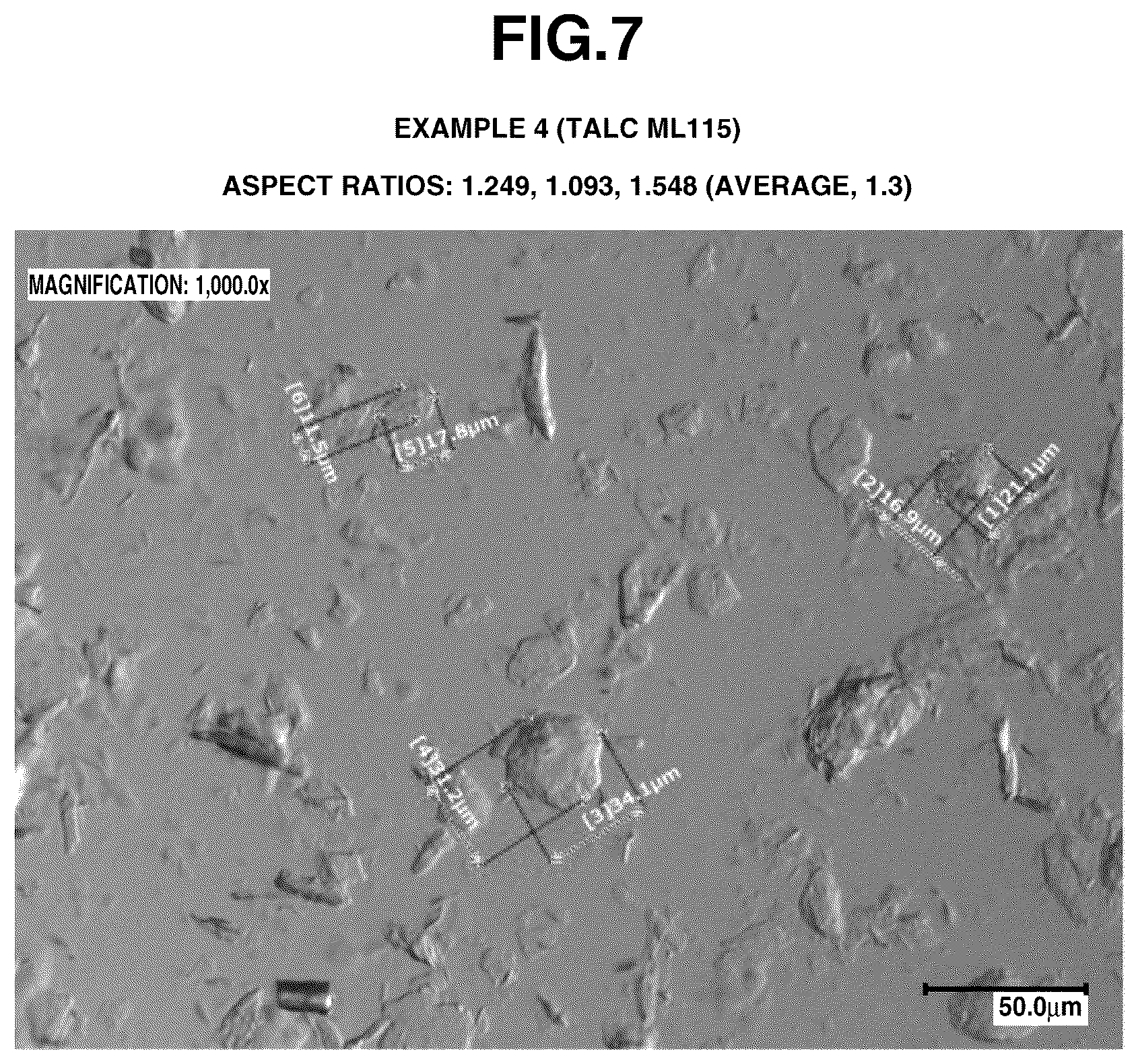 Patent US12496277 Figure 6 – Granulation composition formed from core particles, coating particles and a binder