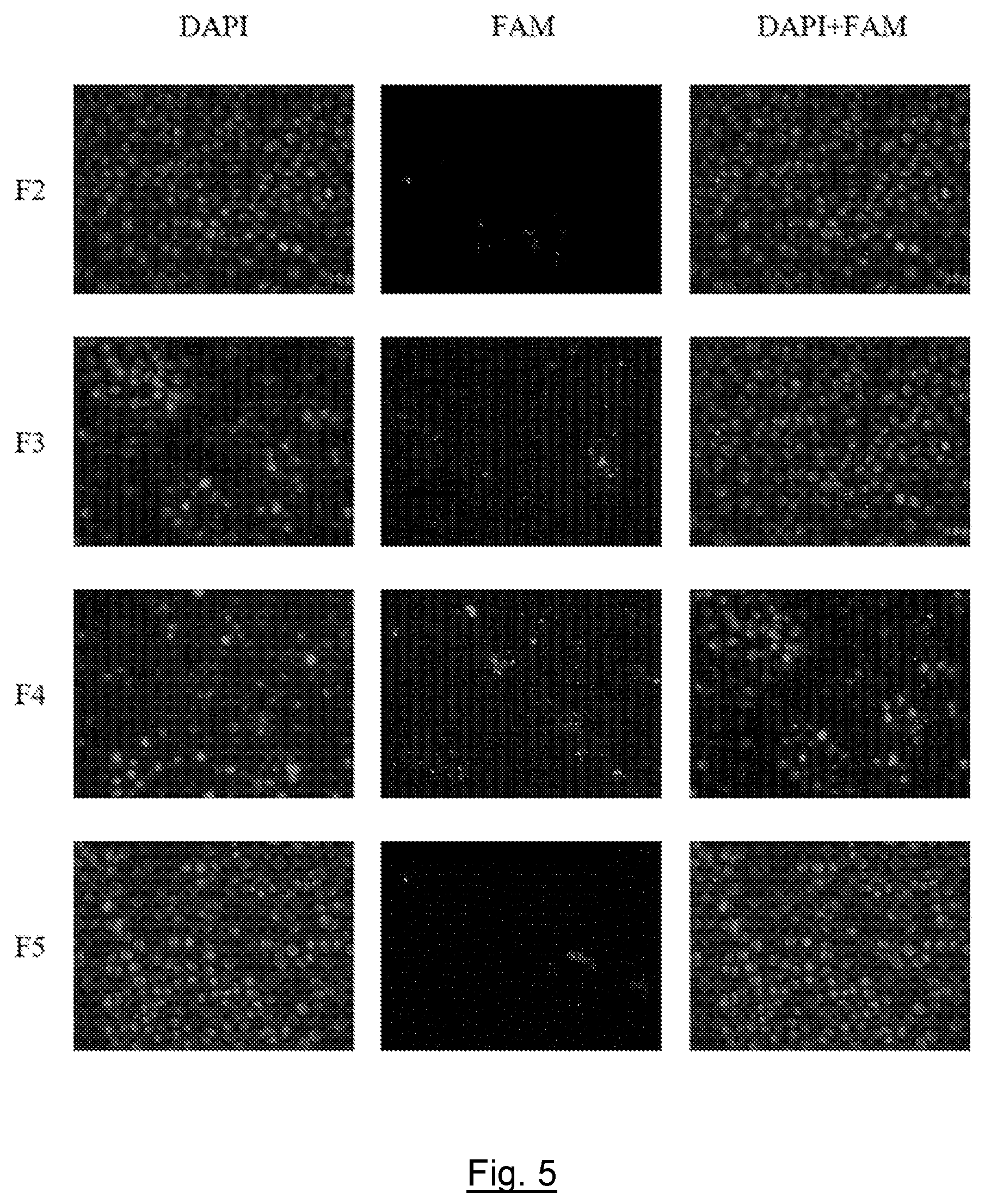 Patent US12496278 Figure 5 – Delivery system comprising silicon nanoparticles